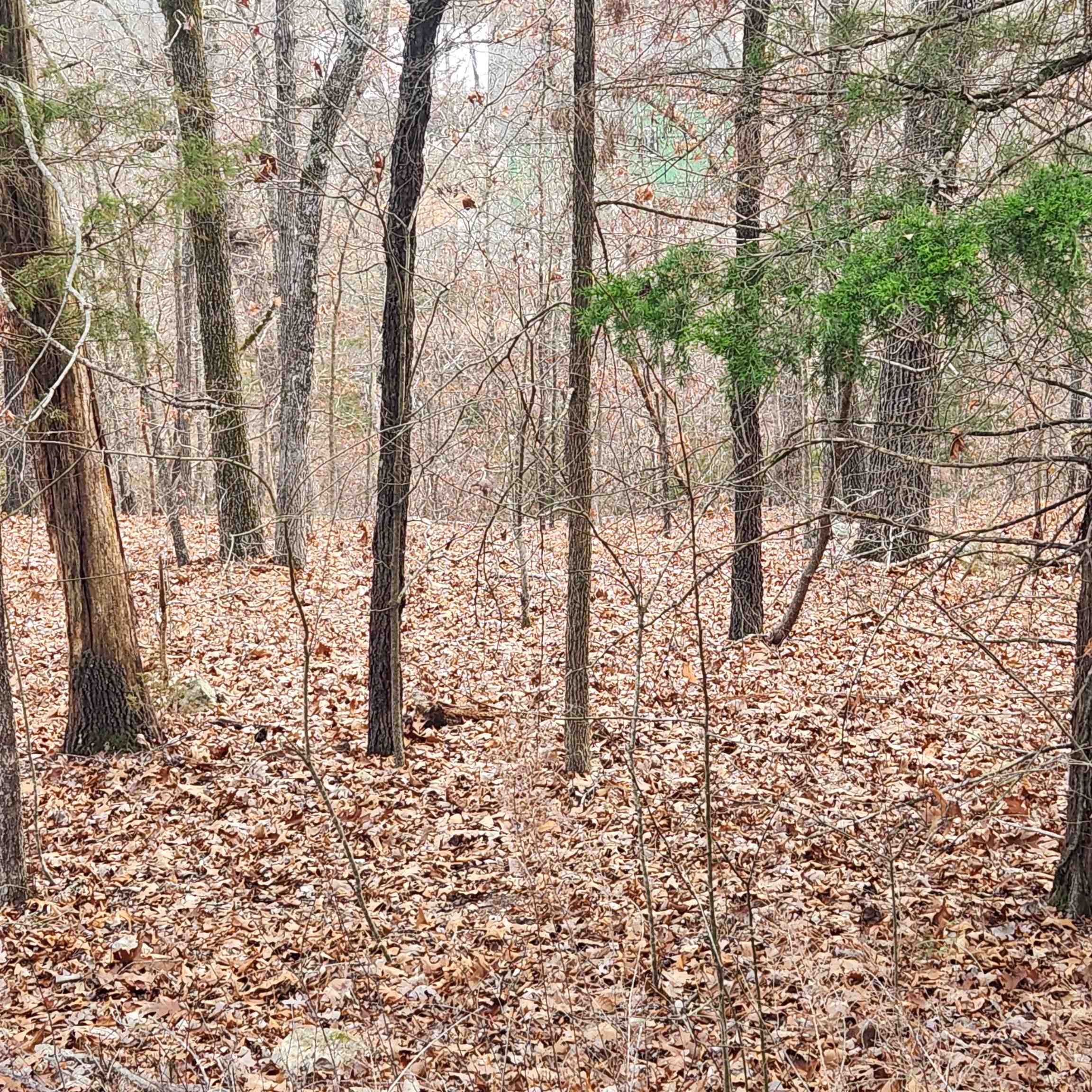 307-403  Alexander Lot's 45-48 Crown View Horseshoe Bend, AR