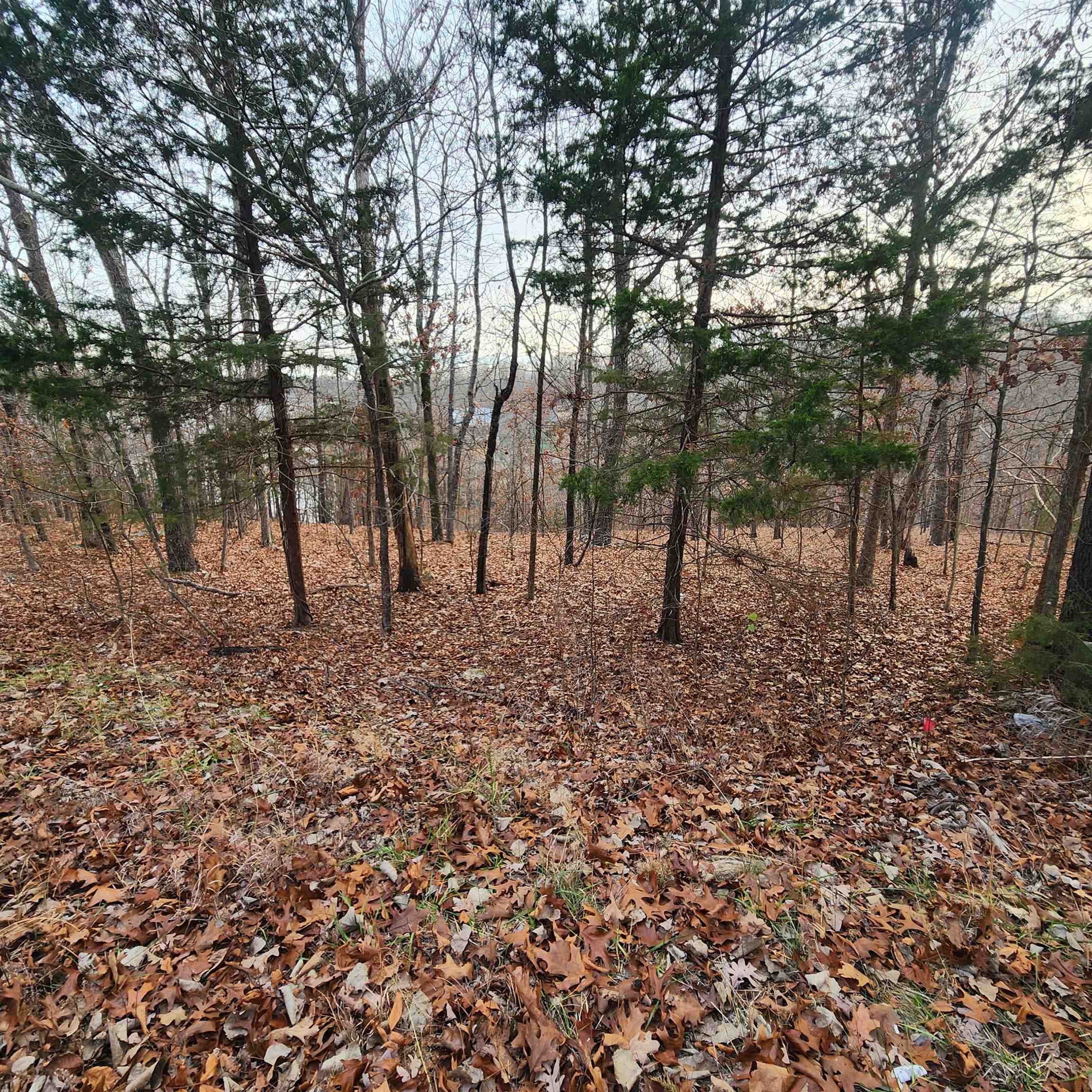 307-403  Alexander Lot's 45-48 Crown View Horseshoe Bend, AR