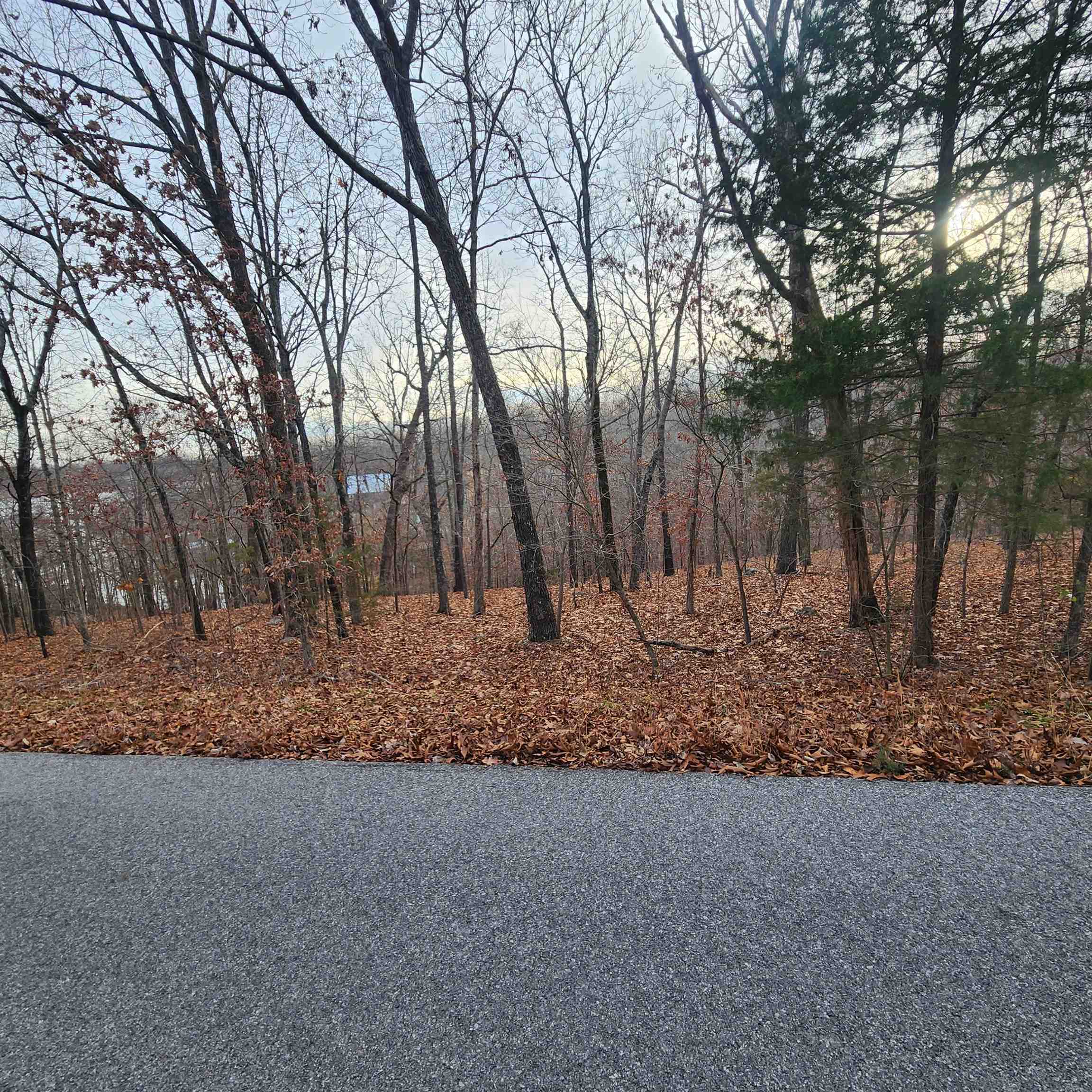 307-403  Alexander Lot's 45-48 Crown View Horseshoe Bend, AR