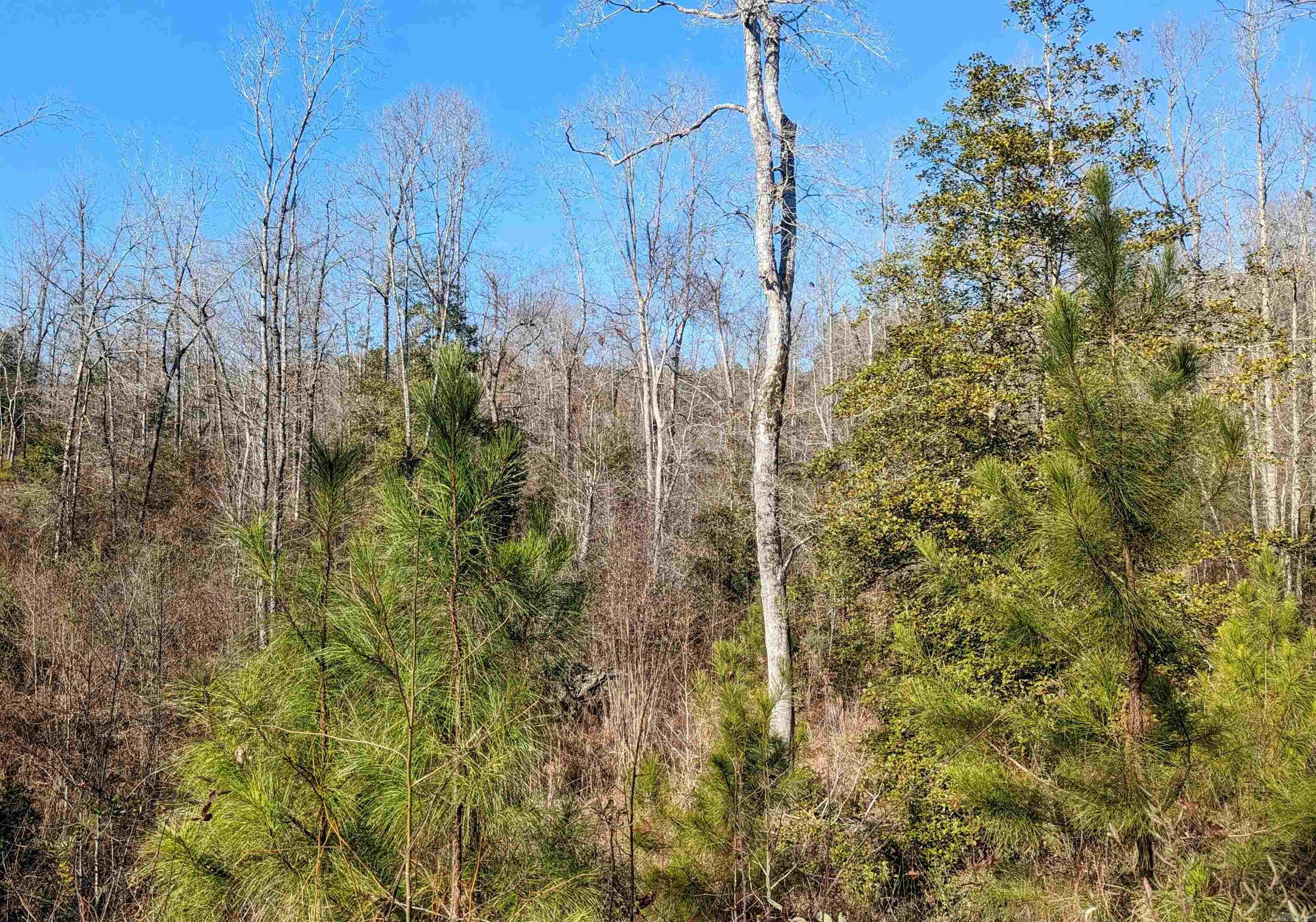 000  Bauxite Pump Rd  Benton, AR