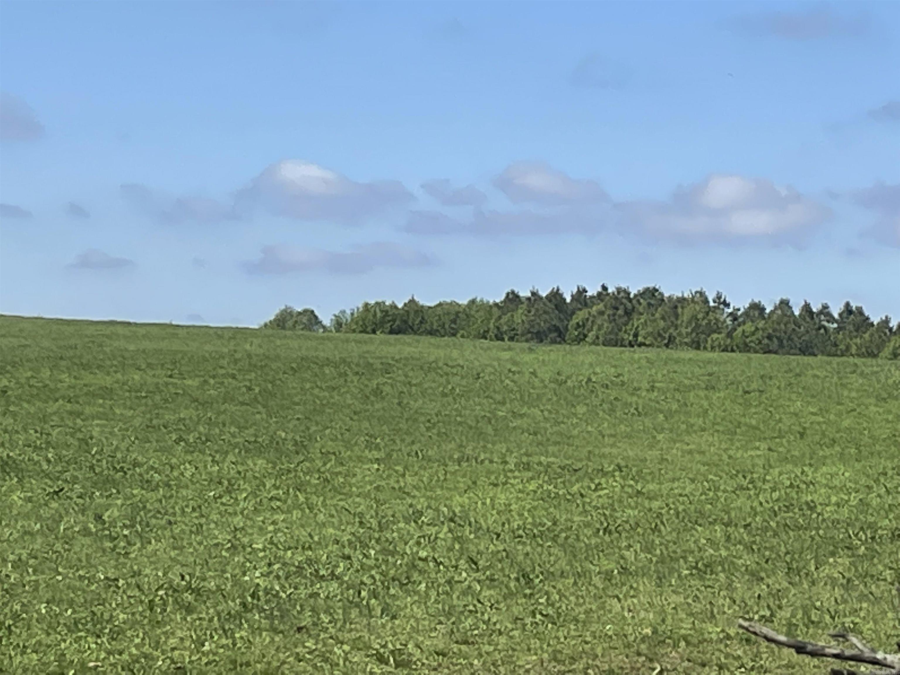 935 lot 15  goff  Quitman, AR