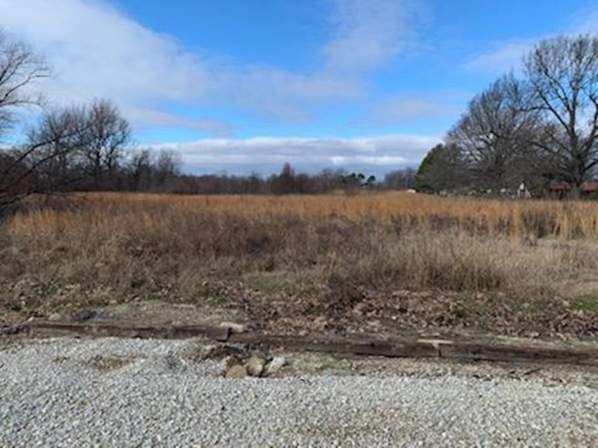 7  Acres Spargo Dr  Walnut Ridge, AR