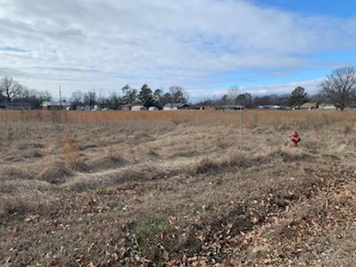 7  Acres Spargo Dr  Walnut Ridge, AR