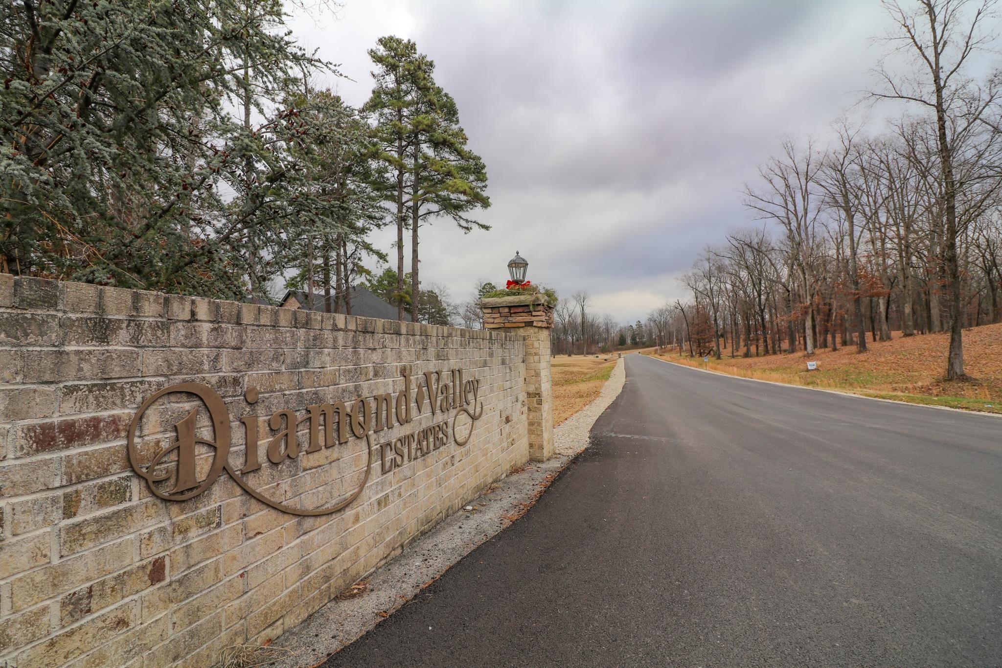 Lot 13A  Diamond Valley  Jonesboro, AR