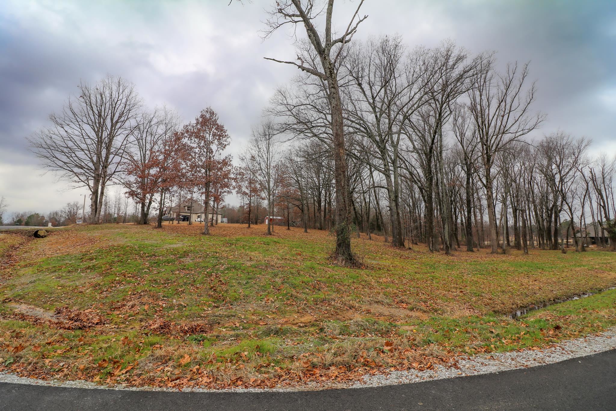 Lot 13A  Diamond Valley  Jonesboro, AR