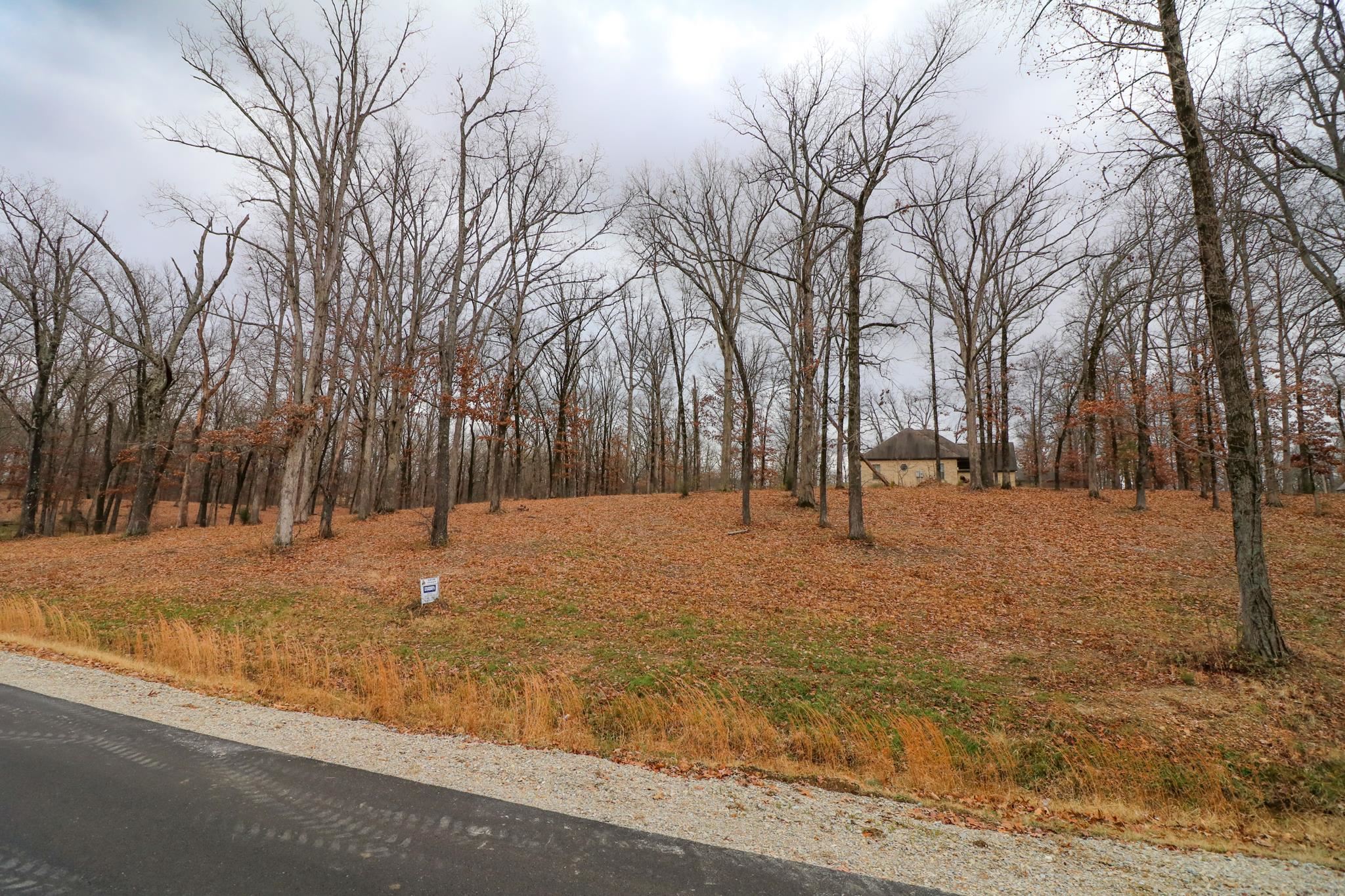 Lot 13A  Diamond Valley  Jonesboro, AR