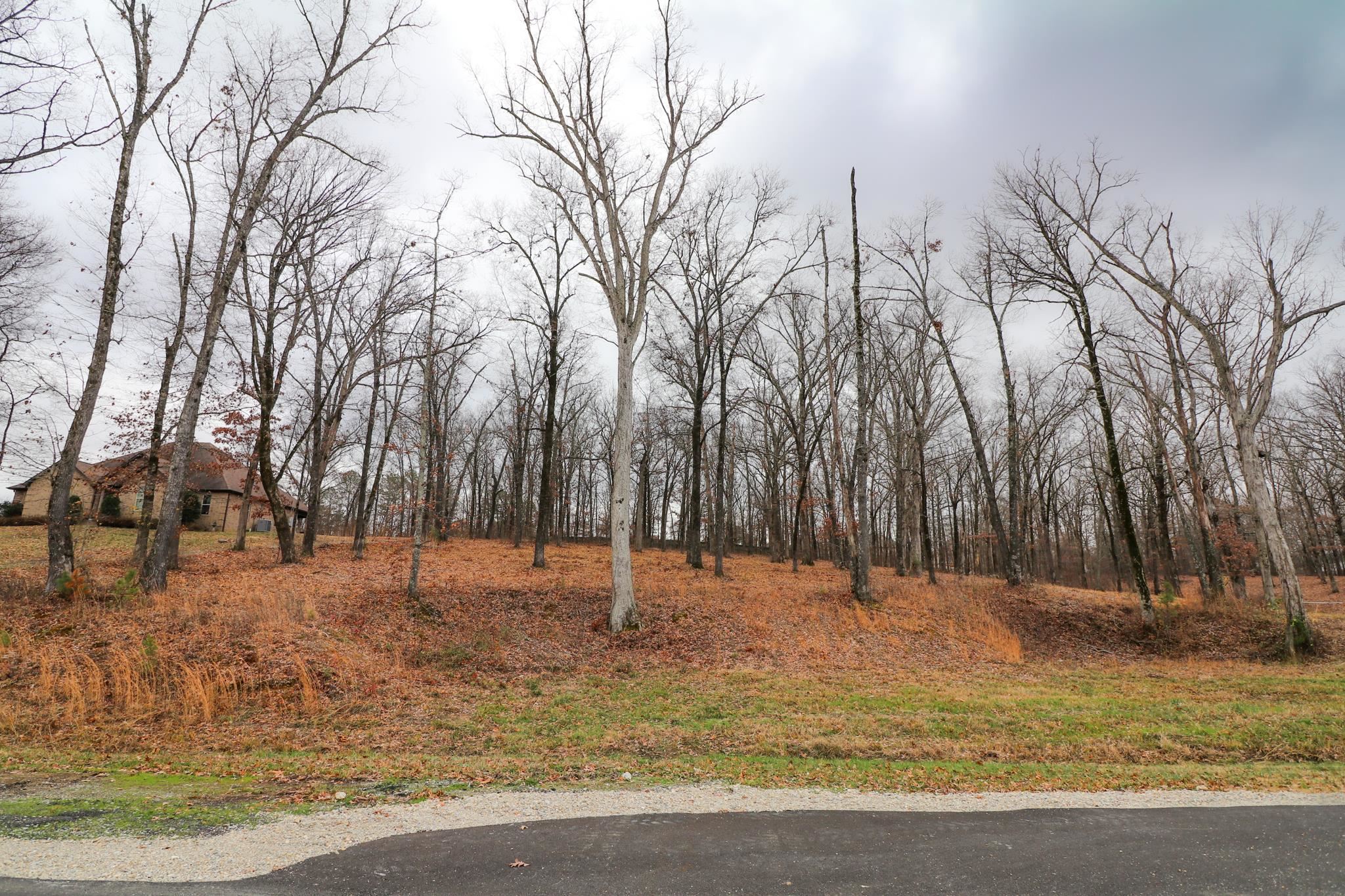 Lot 11  Diamond Valley  Jonesboro, AR
