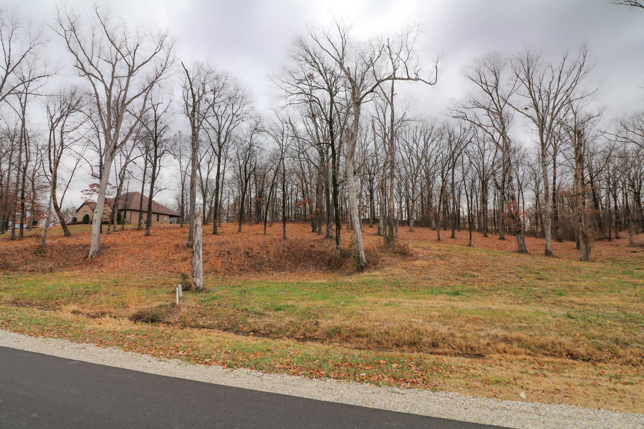 Lot 11  Diamond Valley  Jonesboro, AR