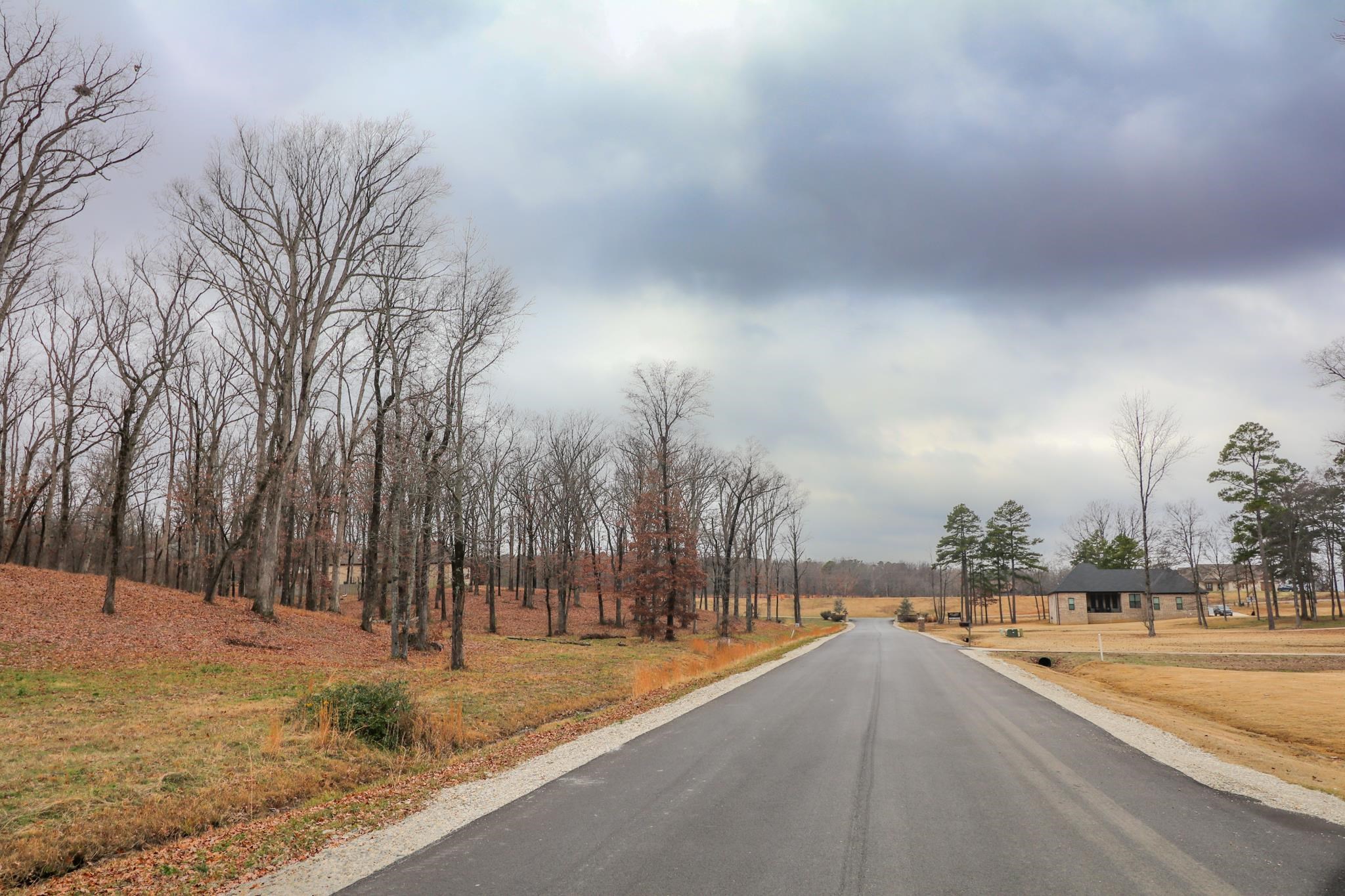 Lot 11  Diamond Valley  Jonesboro, AR