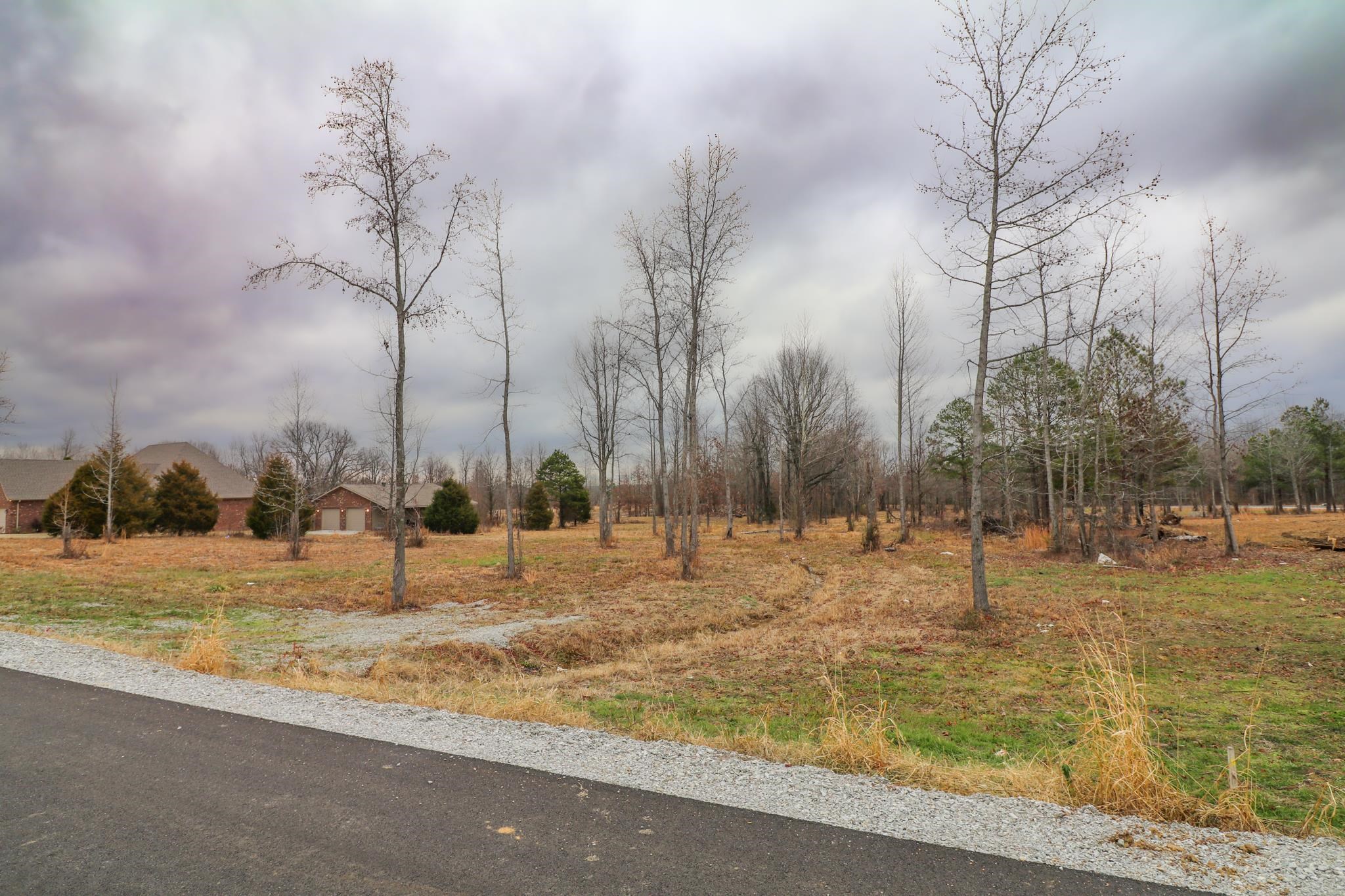 Lot 8  Diamond Valley  Jonesboro, AR
