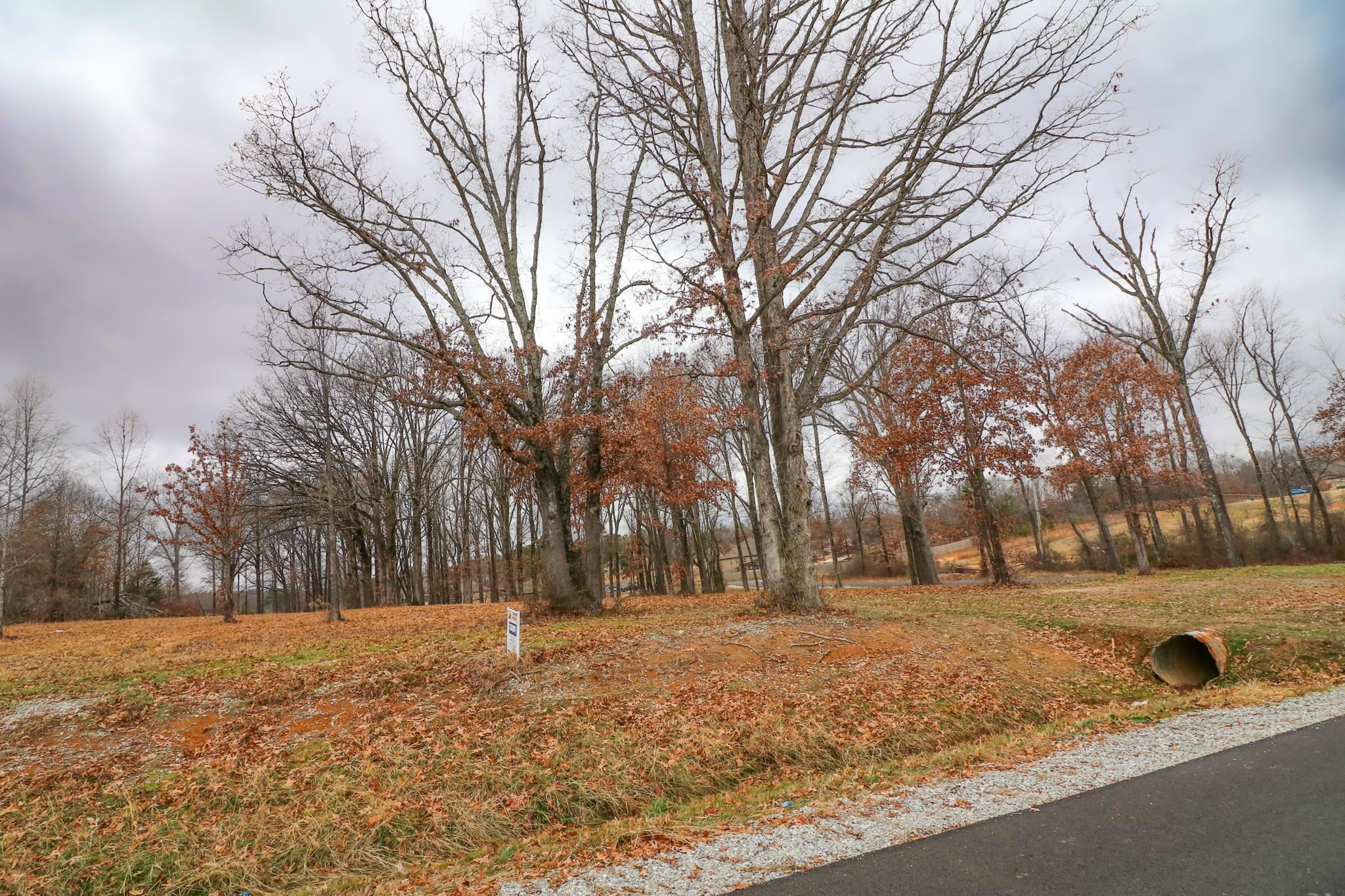Lot 1  Diamond Valley Ph II  Jonesboro, AR