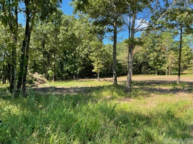 2800  Sparrowhawk  Pocahontas, AR