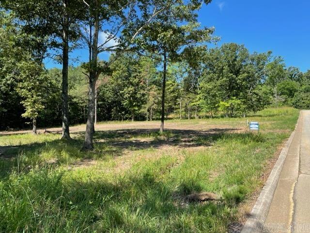 2800  Sparrowhawk  Pocahontas, AR