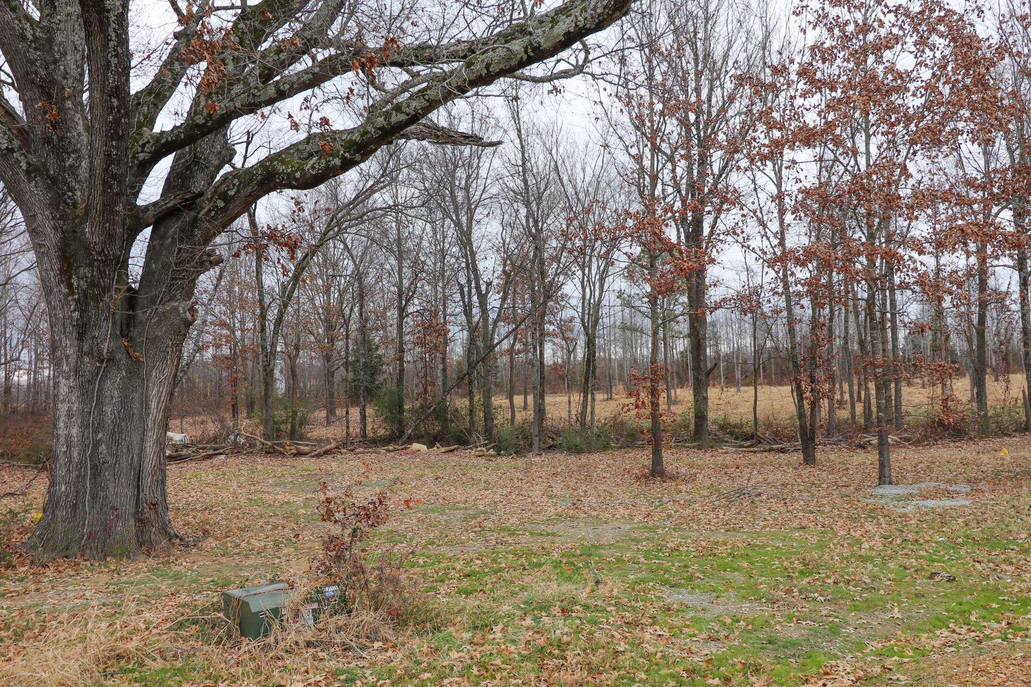 Lot 1  Diamond Valley Phase 3 Jonesboro, AR
