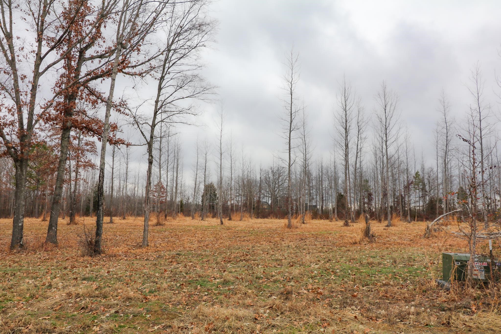 Lot 1  Diamond Valley Phase 3 Jonesboro, AR