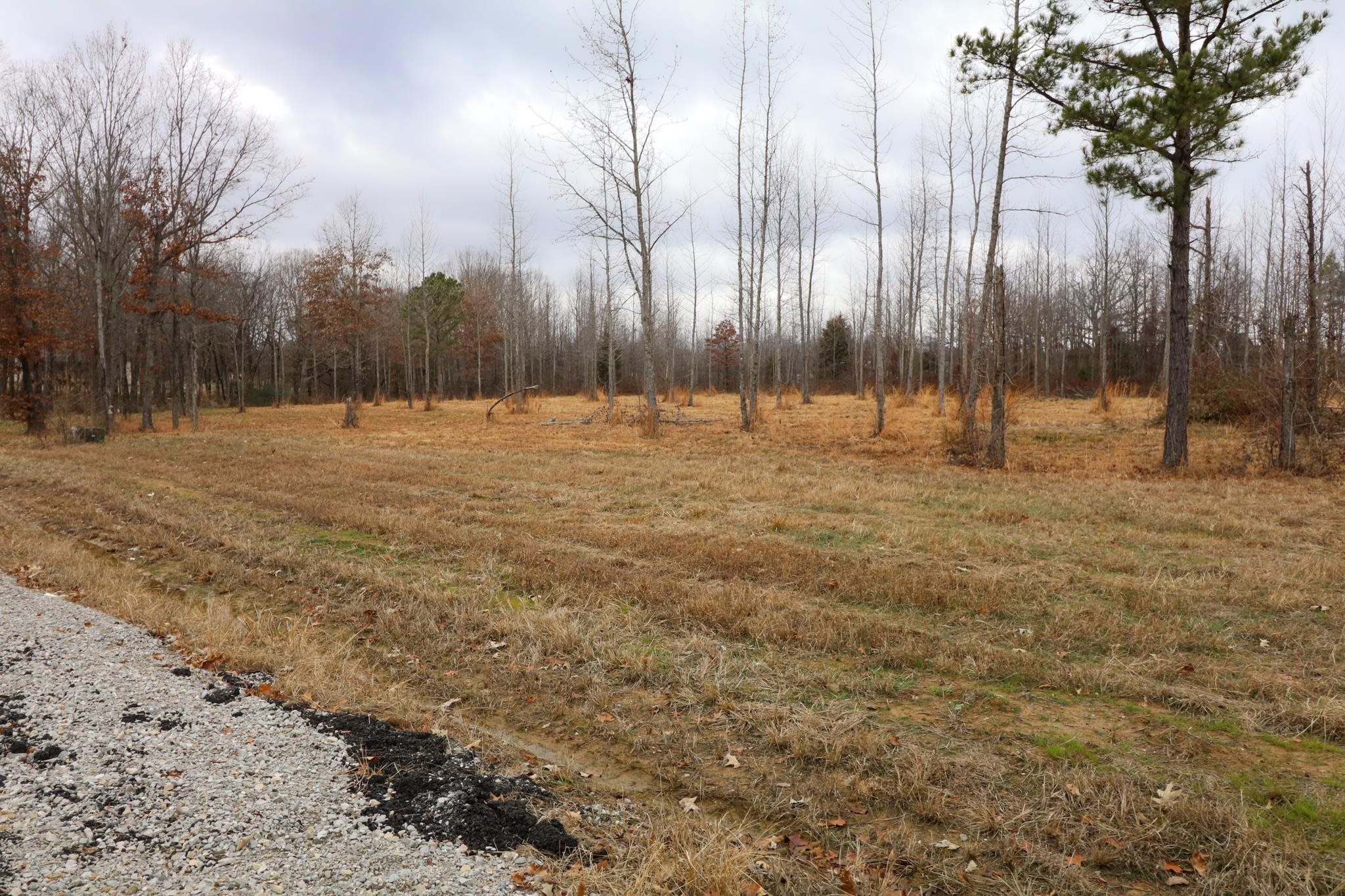 Lot 1  Diamond Valley Phase 3 Jonesboro, AR