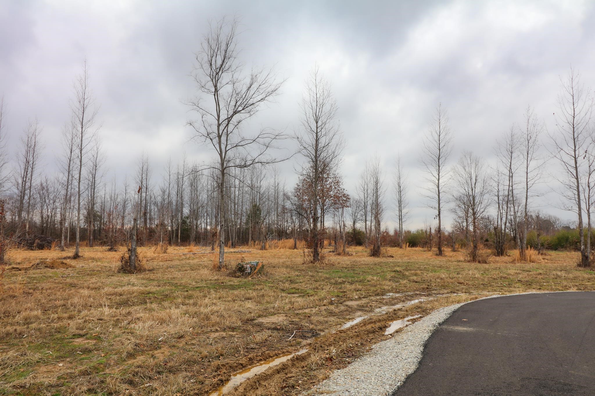 157  CR 4243 Lot 2 Diamond Valley Ph III Jonesboro, AR