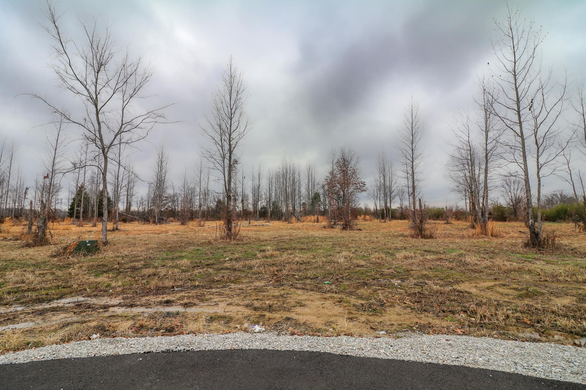 157  CR 4243 Lot 2 Diamond Valley Ph III Jonesboro, AR