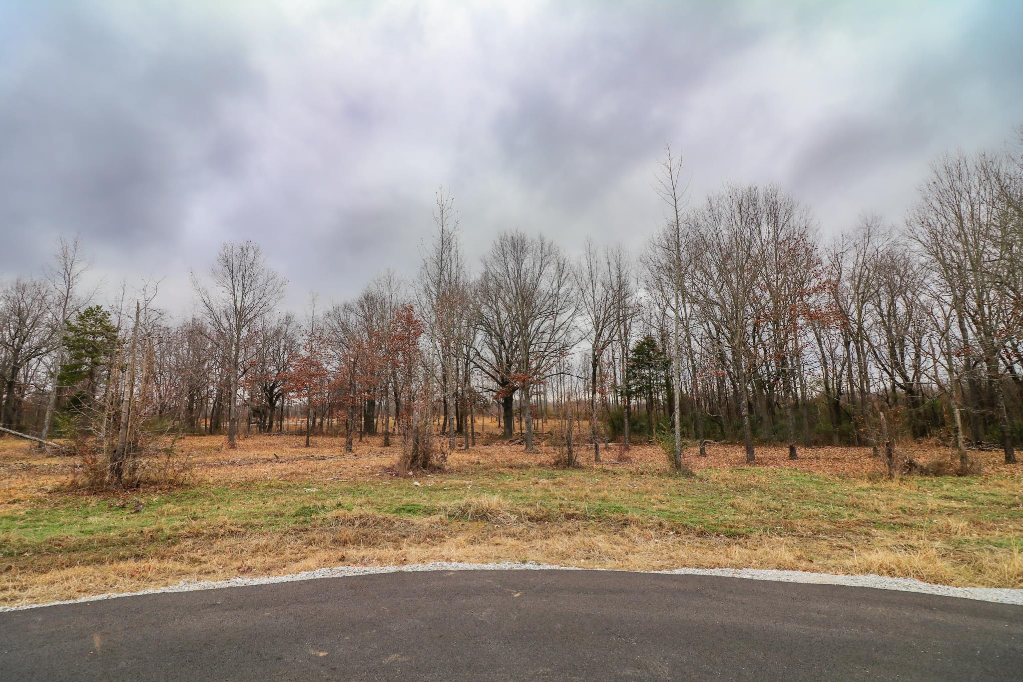 Lot 3  Diamond Valley  Jonesboro, AR