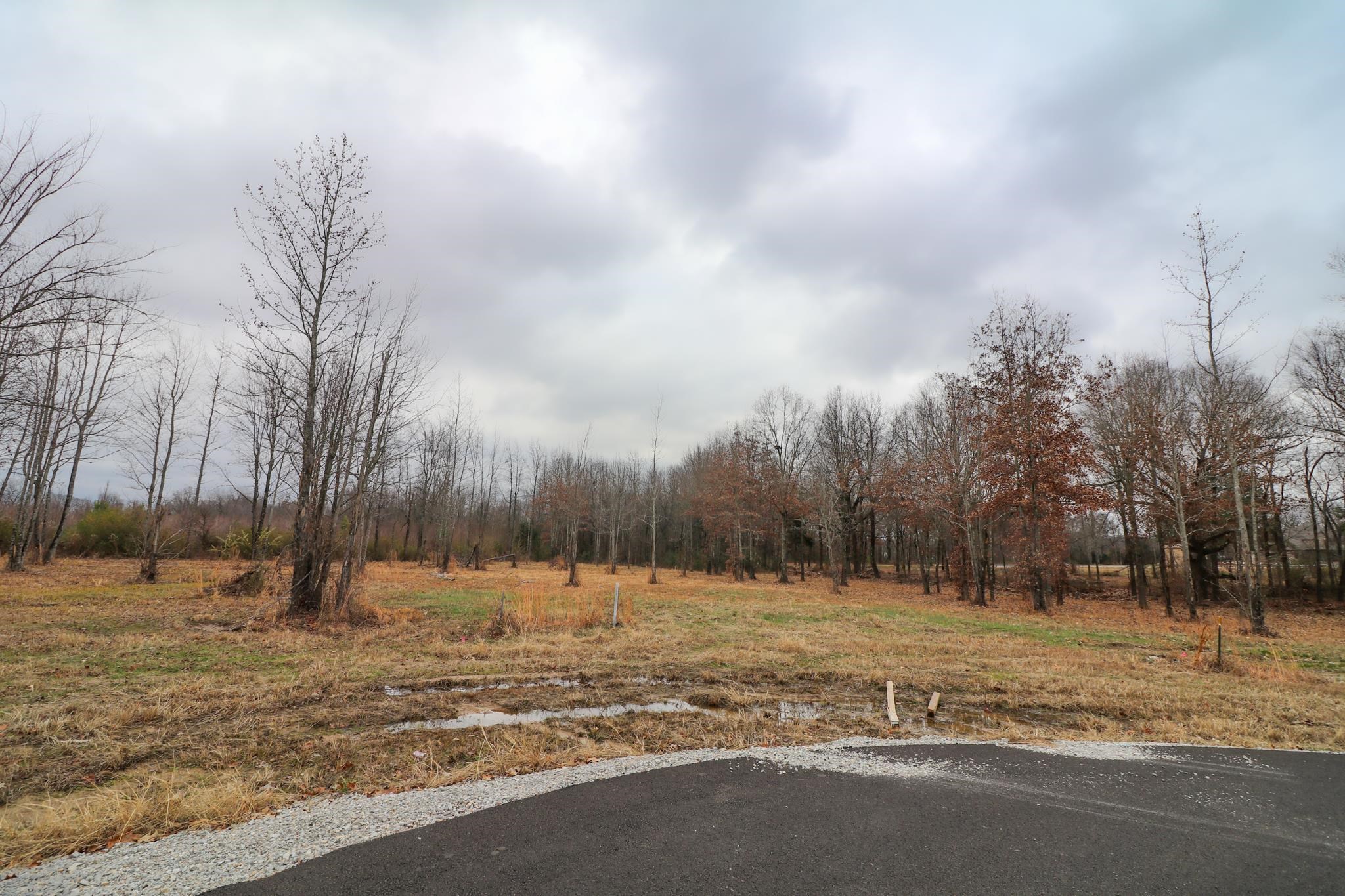 Lot 3  Diamond Valley  Jonesboro, AR