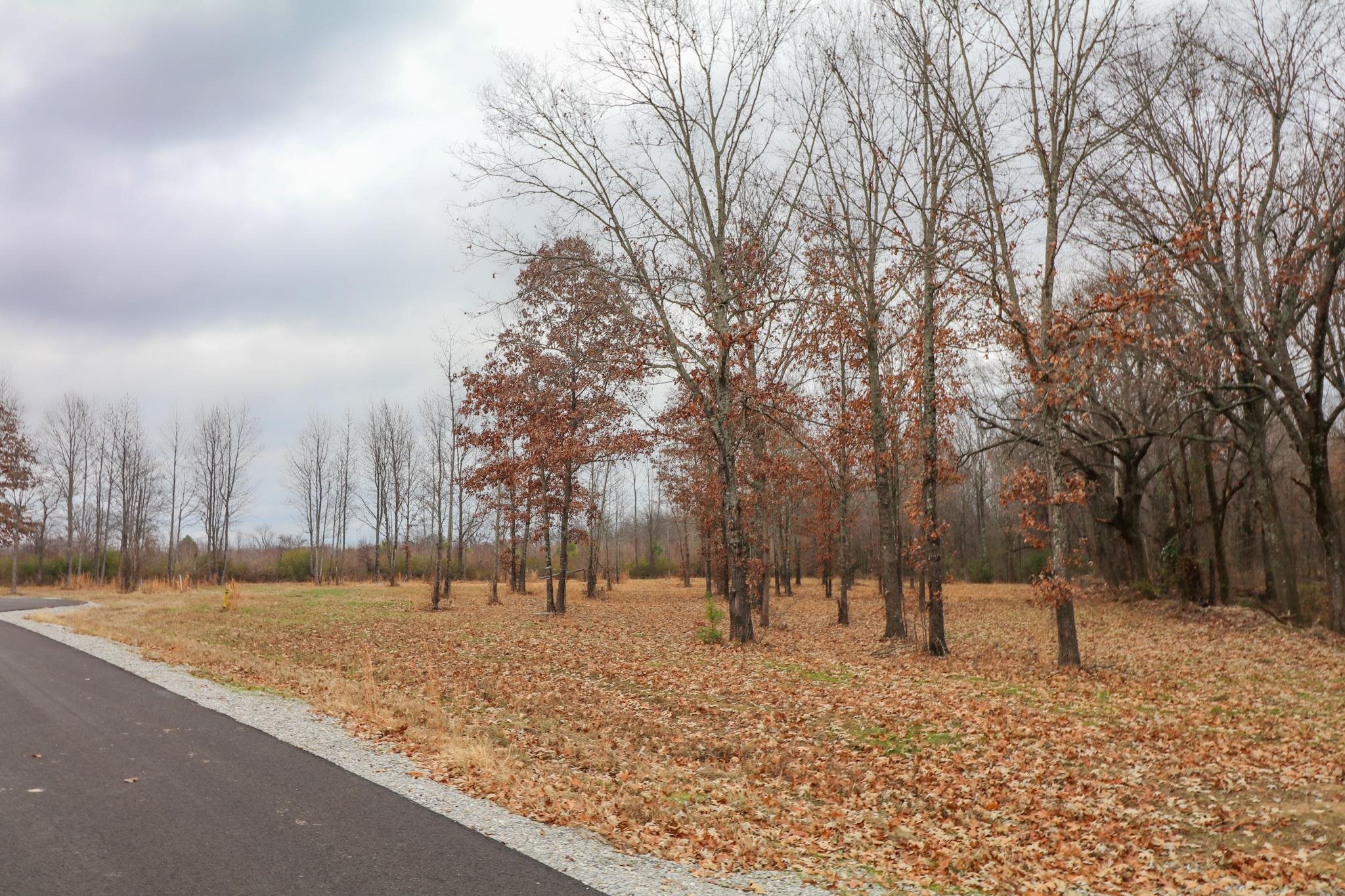 Lot 3  Diamond Valley  Jonesboro, AR