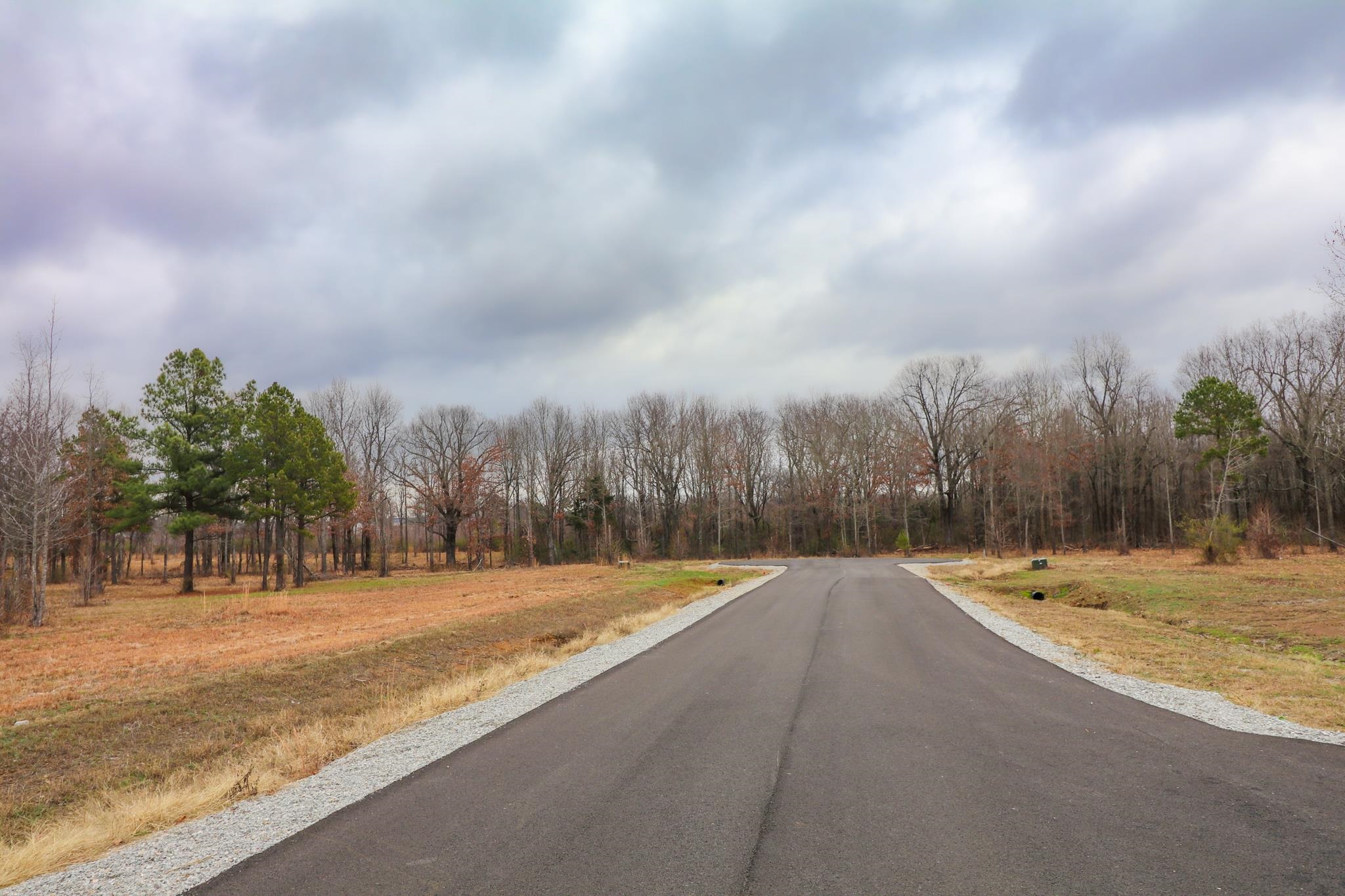 Lot 3  Diamond Valley  Jonesboro, AR