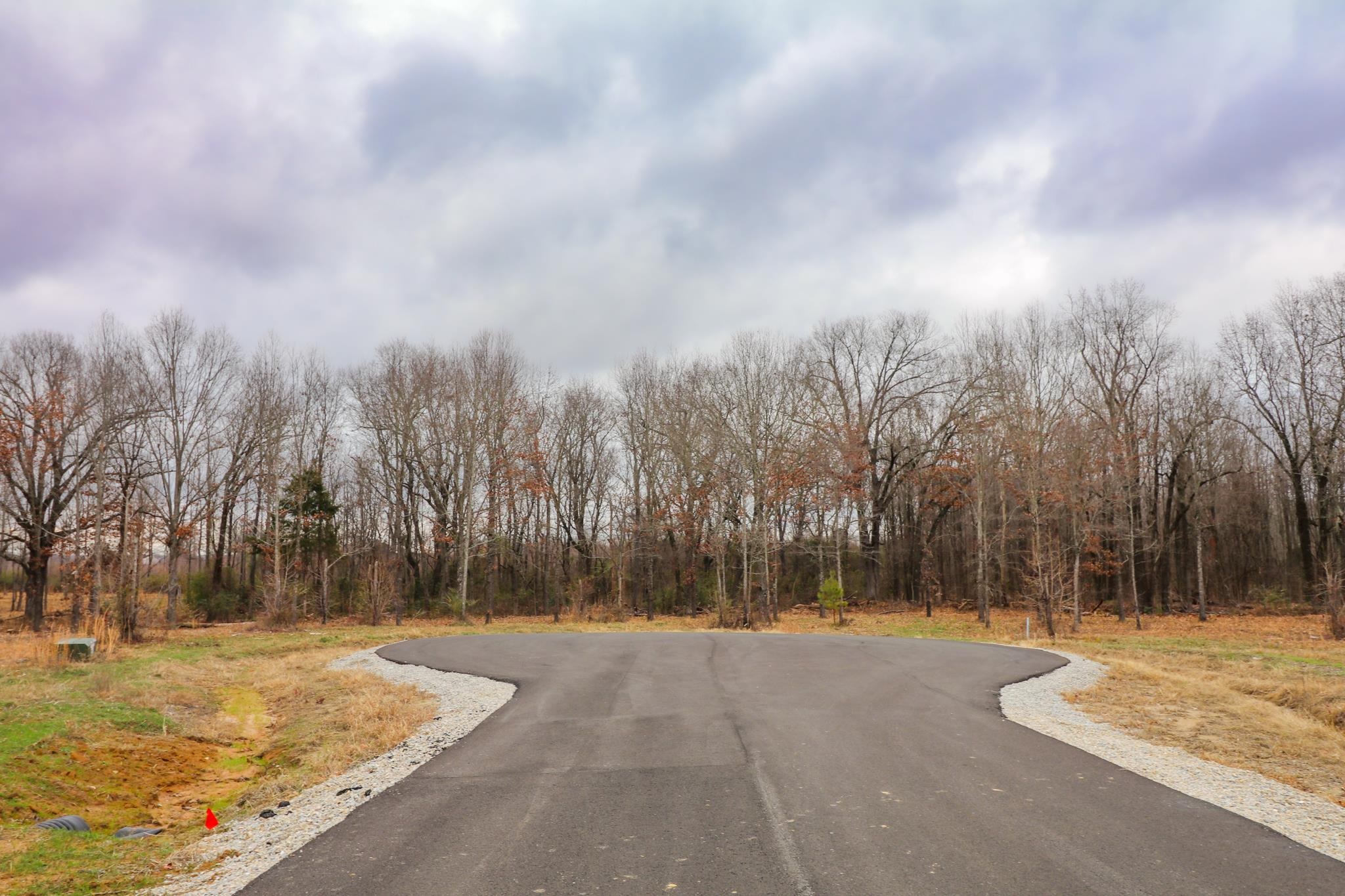 Lot 3  Diamond Valley  Jonesboro, AR