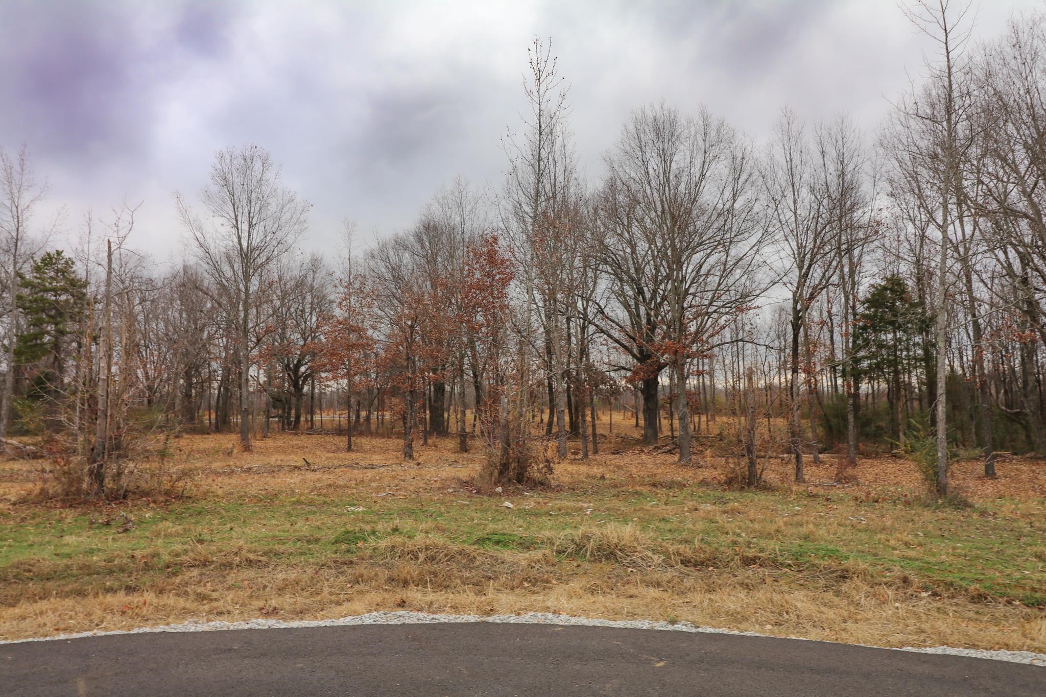 Lot 3  Diamond Valley  Jonesboro, AR