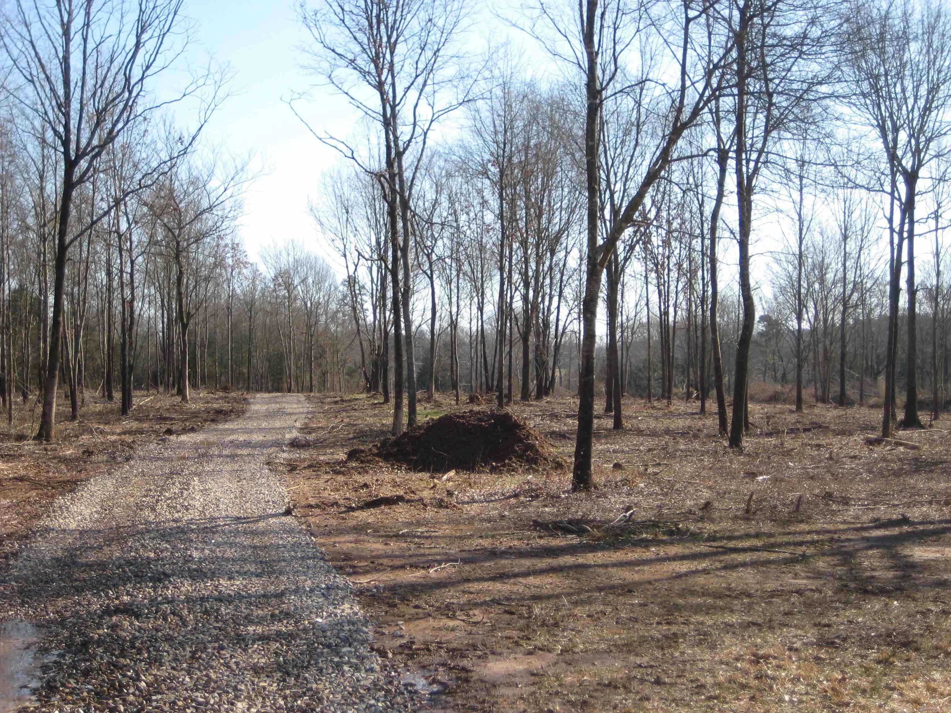 TBD  Unk Lane (Hwy 8 East)  Mena, AR