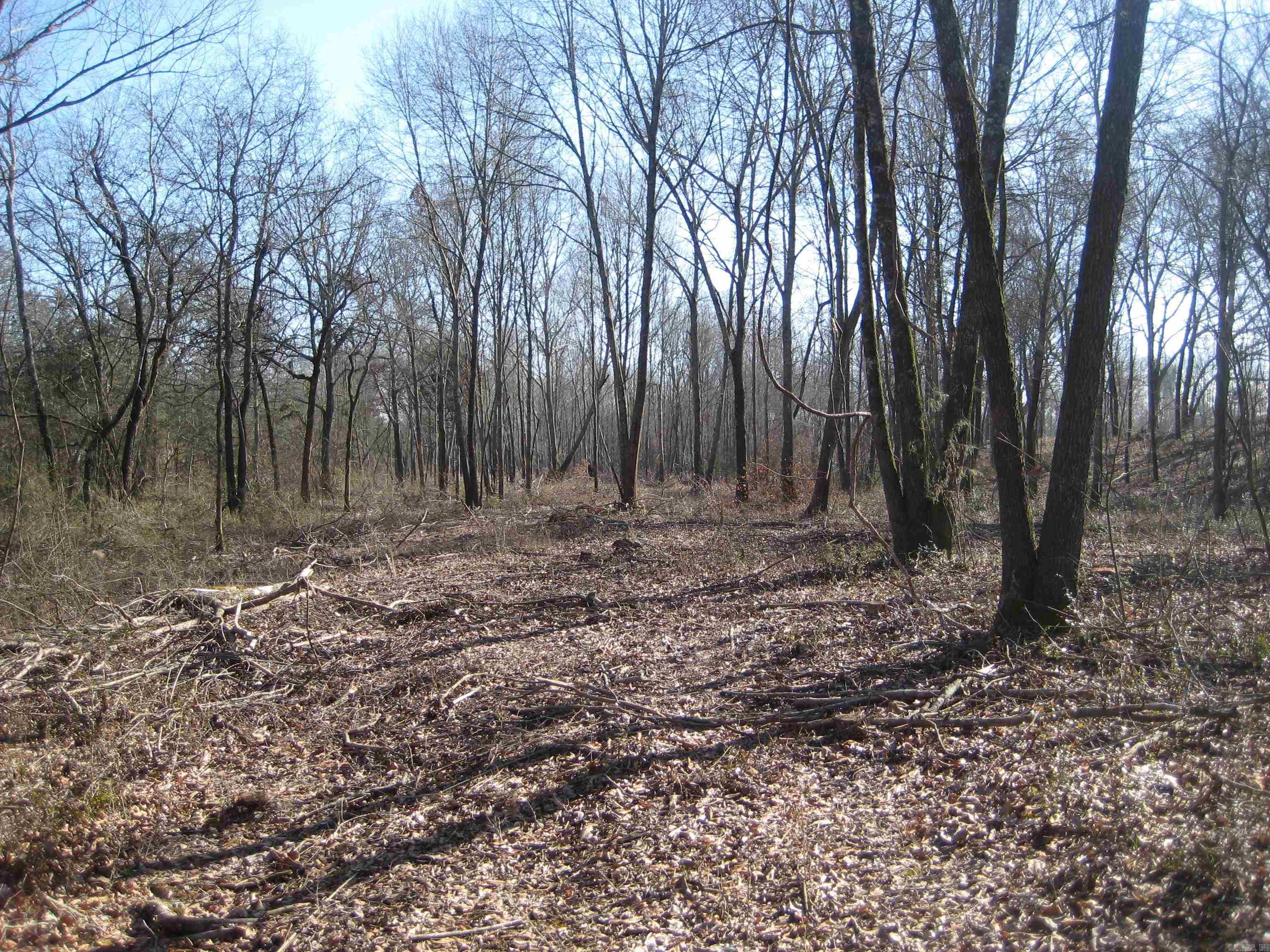 TBD  Unk Lane (Hwy 8 East)  Mena, AR