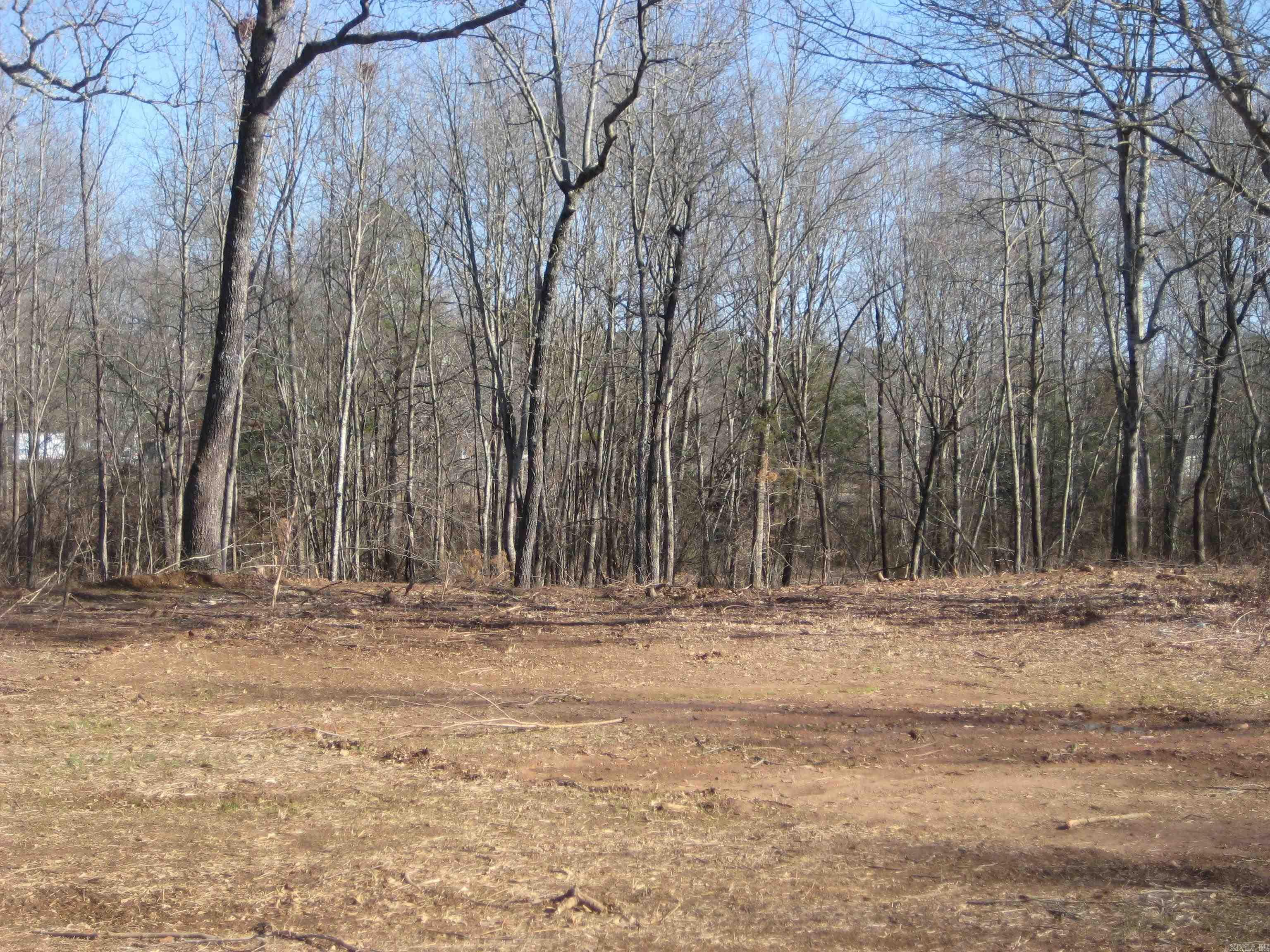 TBD  Unk Lane (Hwy 8 East)  Mena, AR