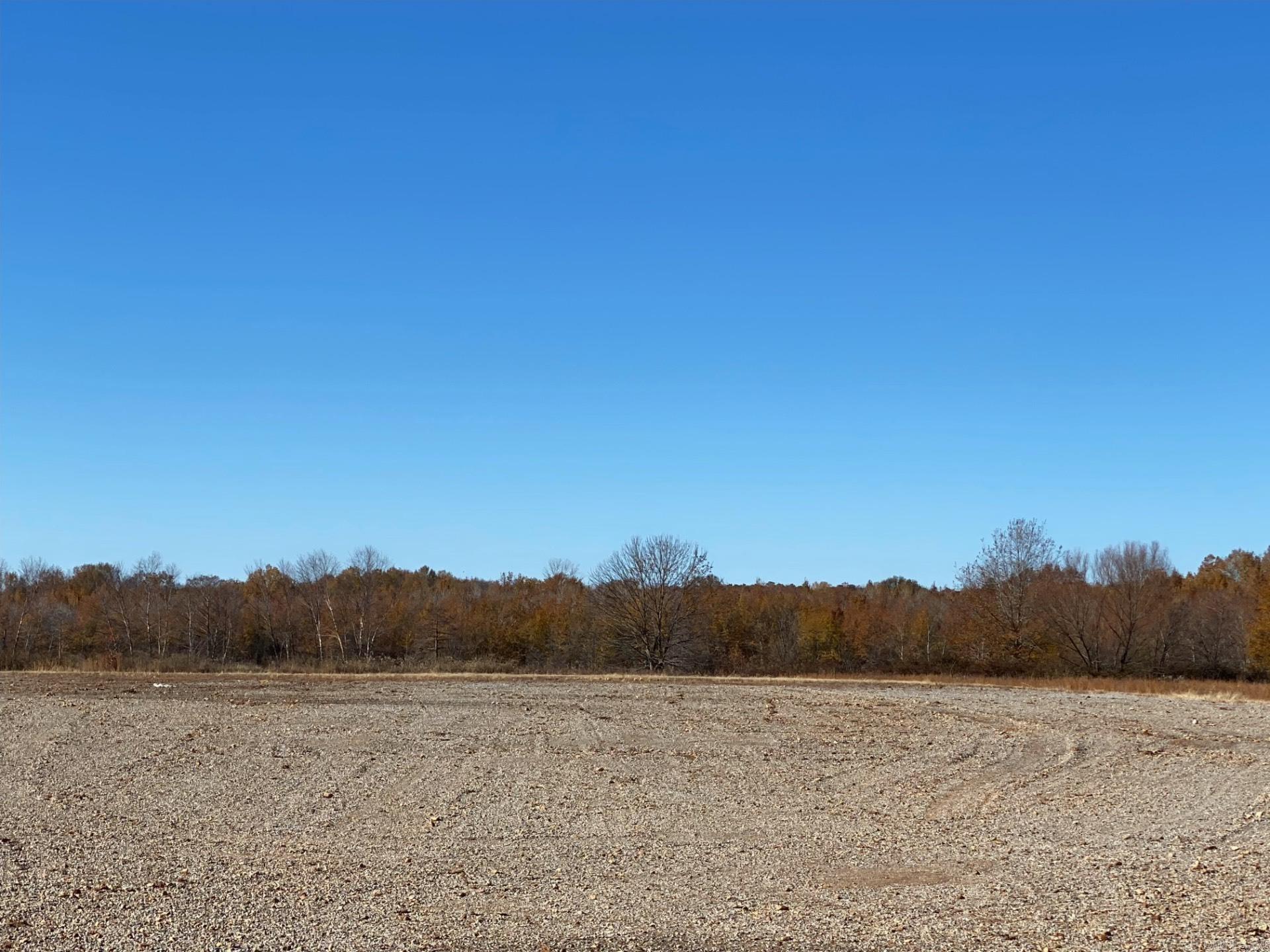 1651  Market  Pocahontas, AR