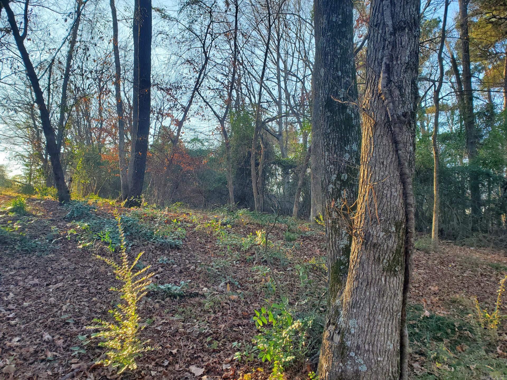 Lot 129 N 26th  Arkadelphia, AR