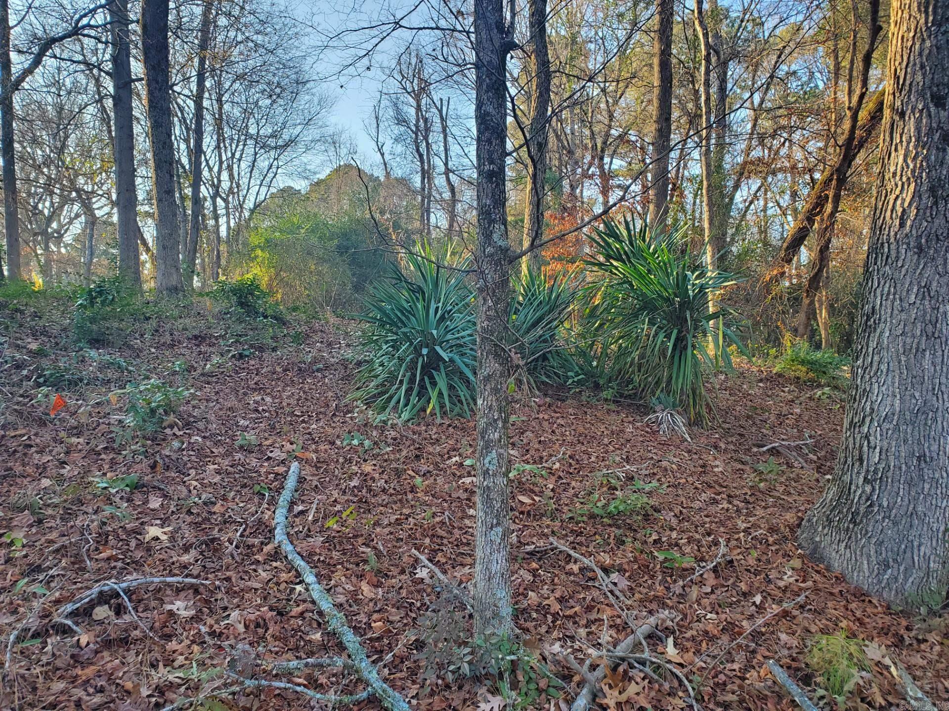 Lot 129 N 26th  Arkadelphia, AR