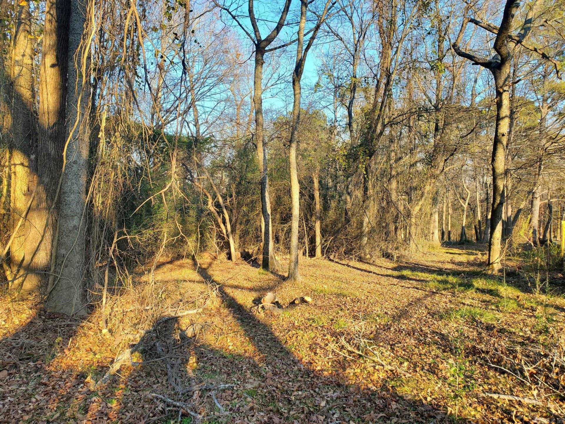Lot 129 N 26th  Arkadelphia, AR