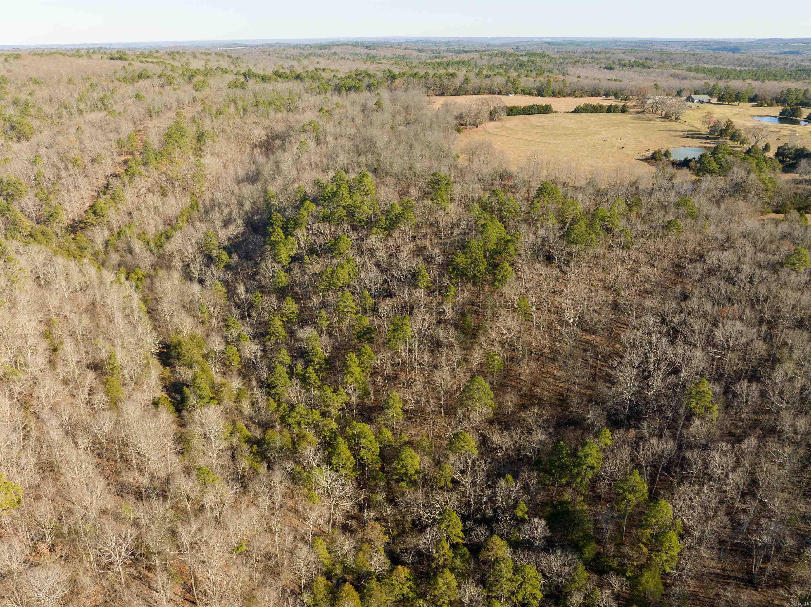 80 Acres  Price Ford  Heber Springs, AR