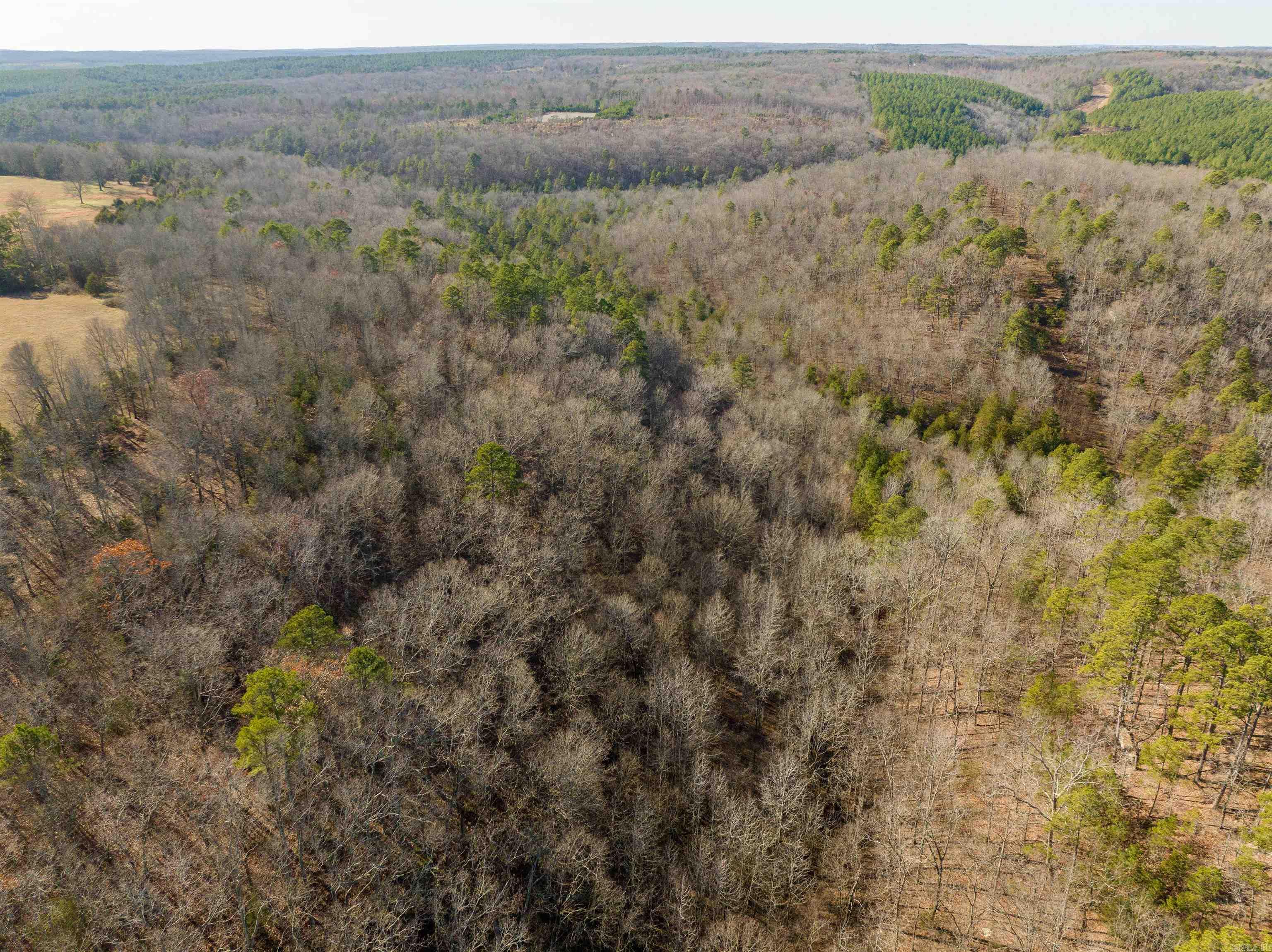 80 Acres  Price Ford  Heber Springs, AR