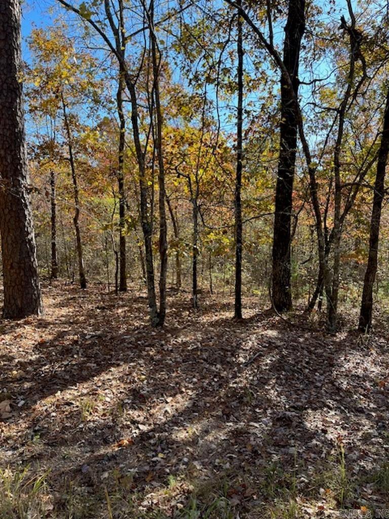 17  Fachado  Hot Springs Village, AR