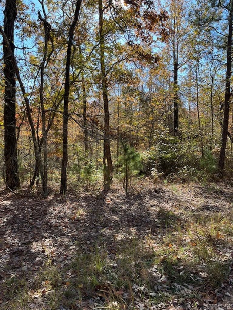 17  Fachado  Hot Springs Village, AR