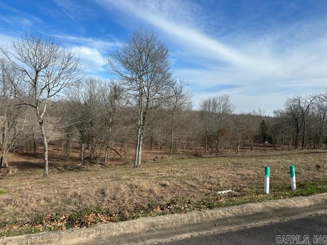 lot 30 W River Road  Mayflower, AR