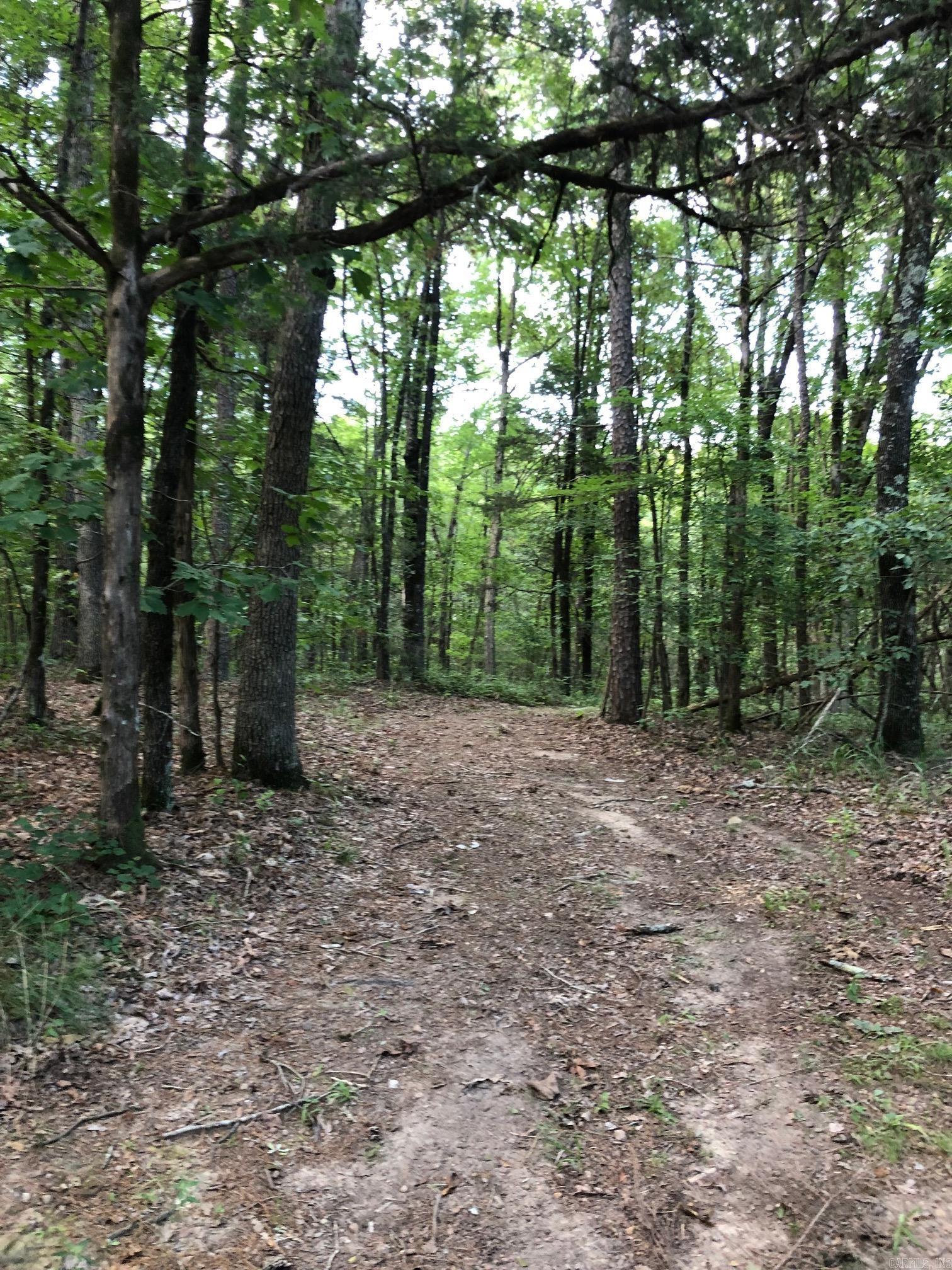 00  Countryside Drive  Quitman, AR
