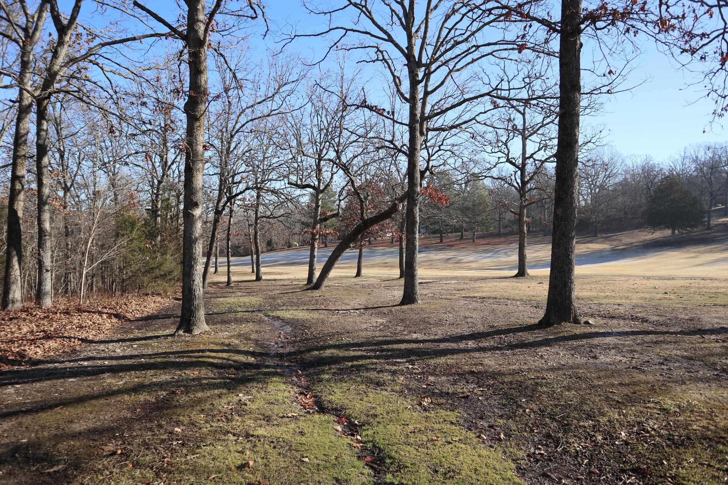509  Spoon Dr  Horseshoe Bend, AR