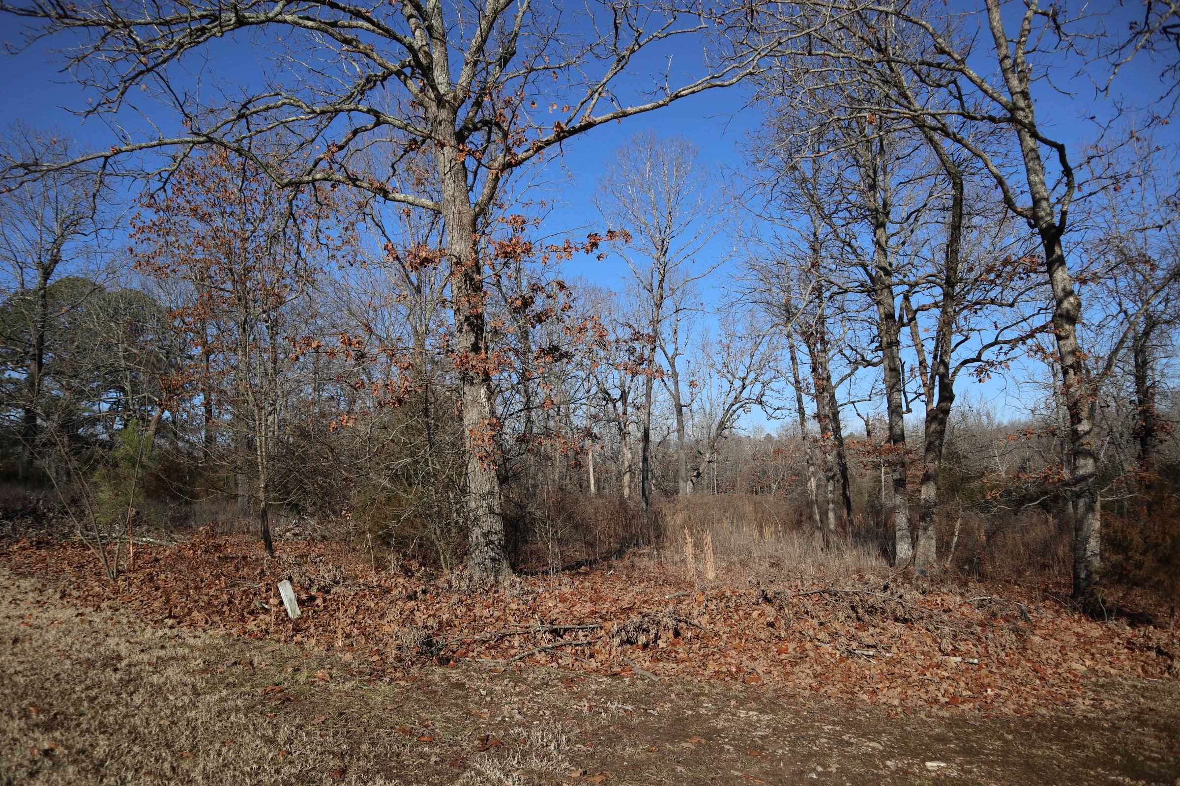 509  Spoon Dr  Horseshoe Bend, AR