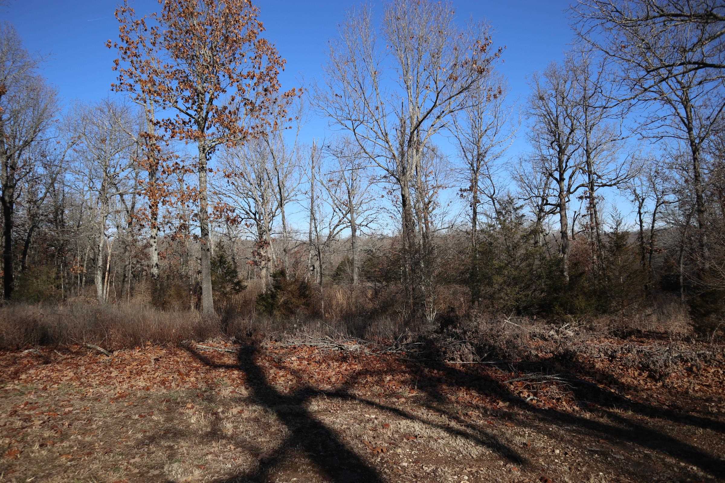 509  Spoon Dr  Horseshoe Bend, AR