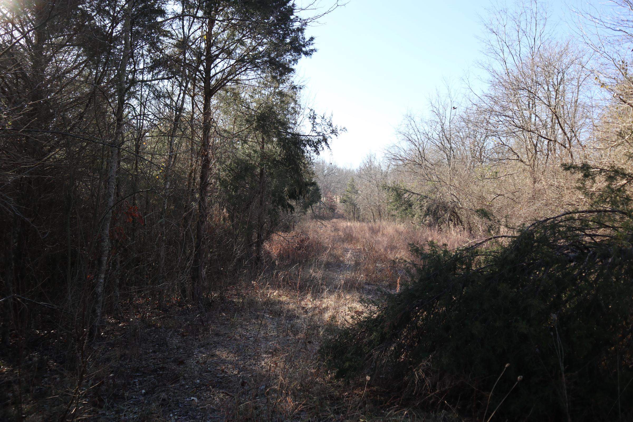509  Spoon Dr  Horseshoe Bend, AR