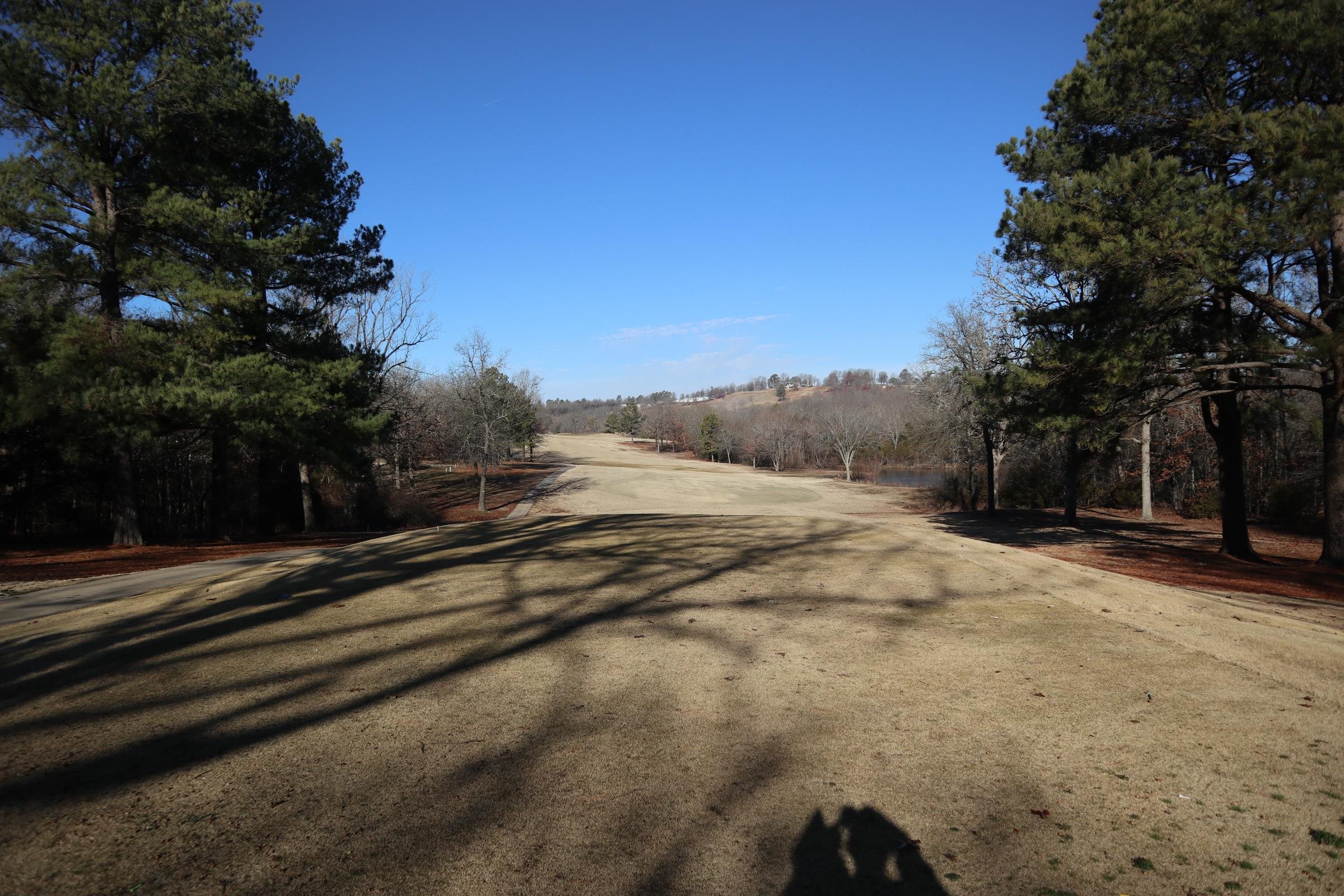 509  Spoon Dr  Horseshoe Bend, AR
