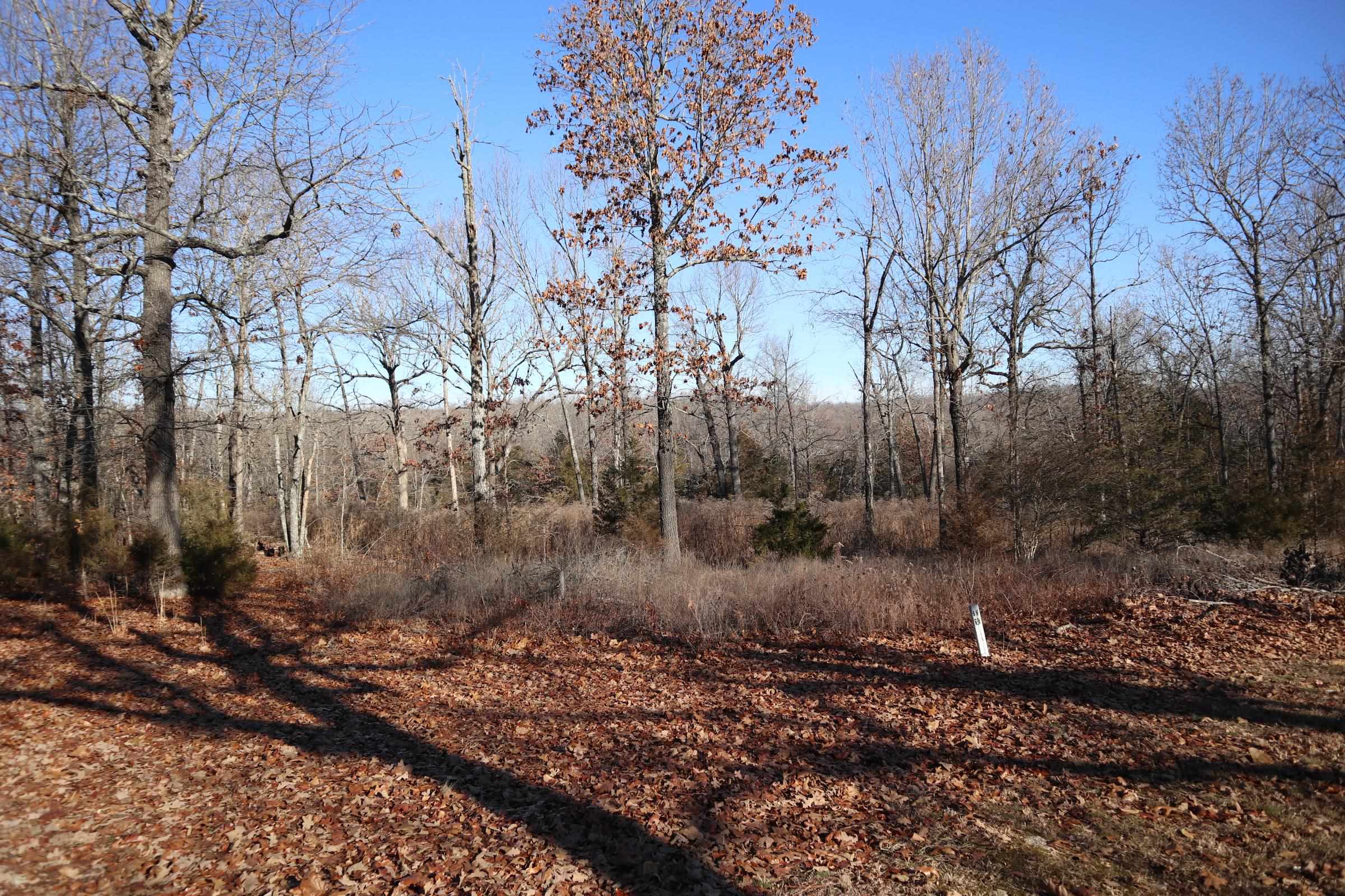 509  Spoon Dr  Horseshoe Bend, AR