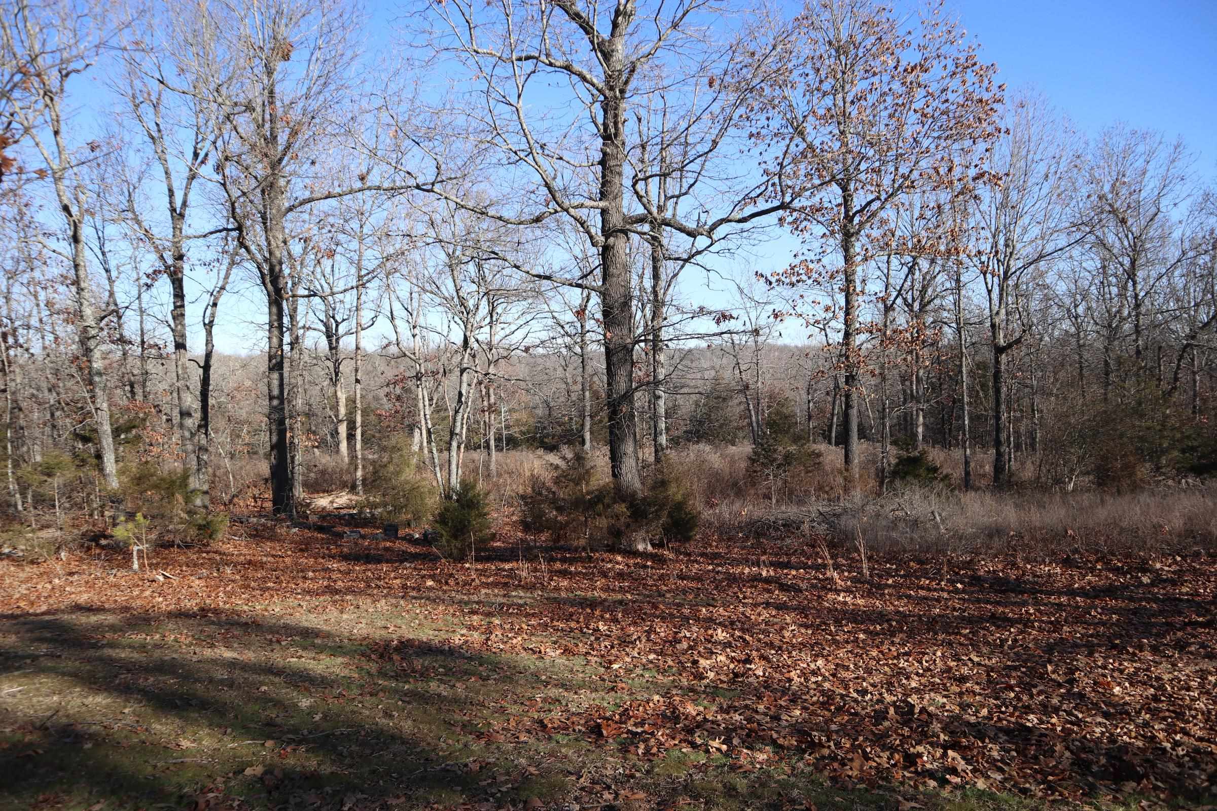 509  Spoon Dr  Horseshoe Bend, AR