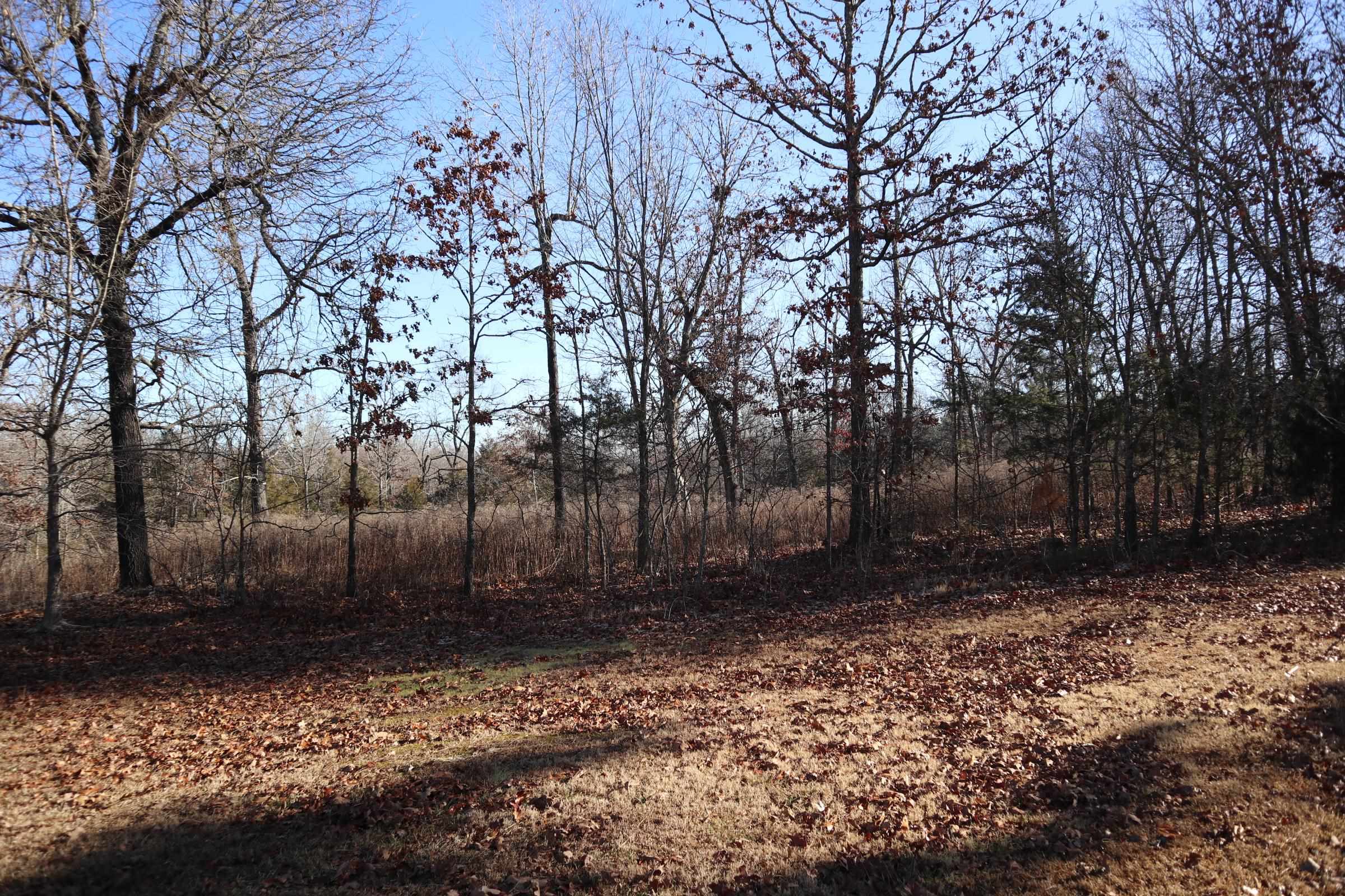 509  Spoon Dr  Horseshoe Bend, AR