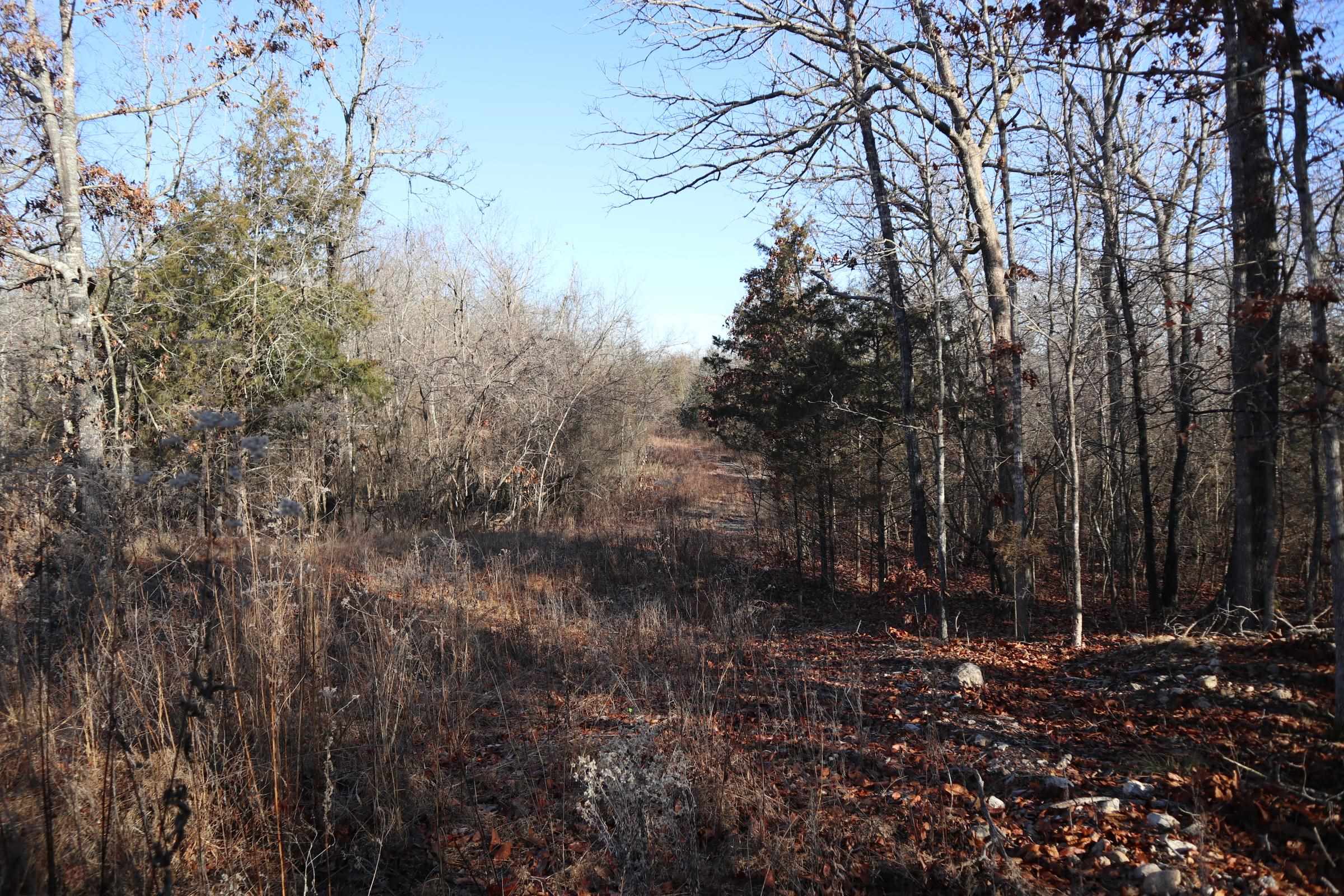 509  Spoon Dr  Horseshoe Bend, AR